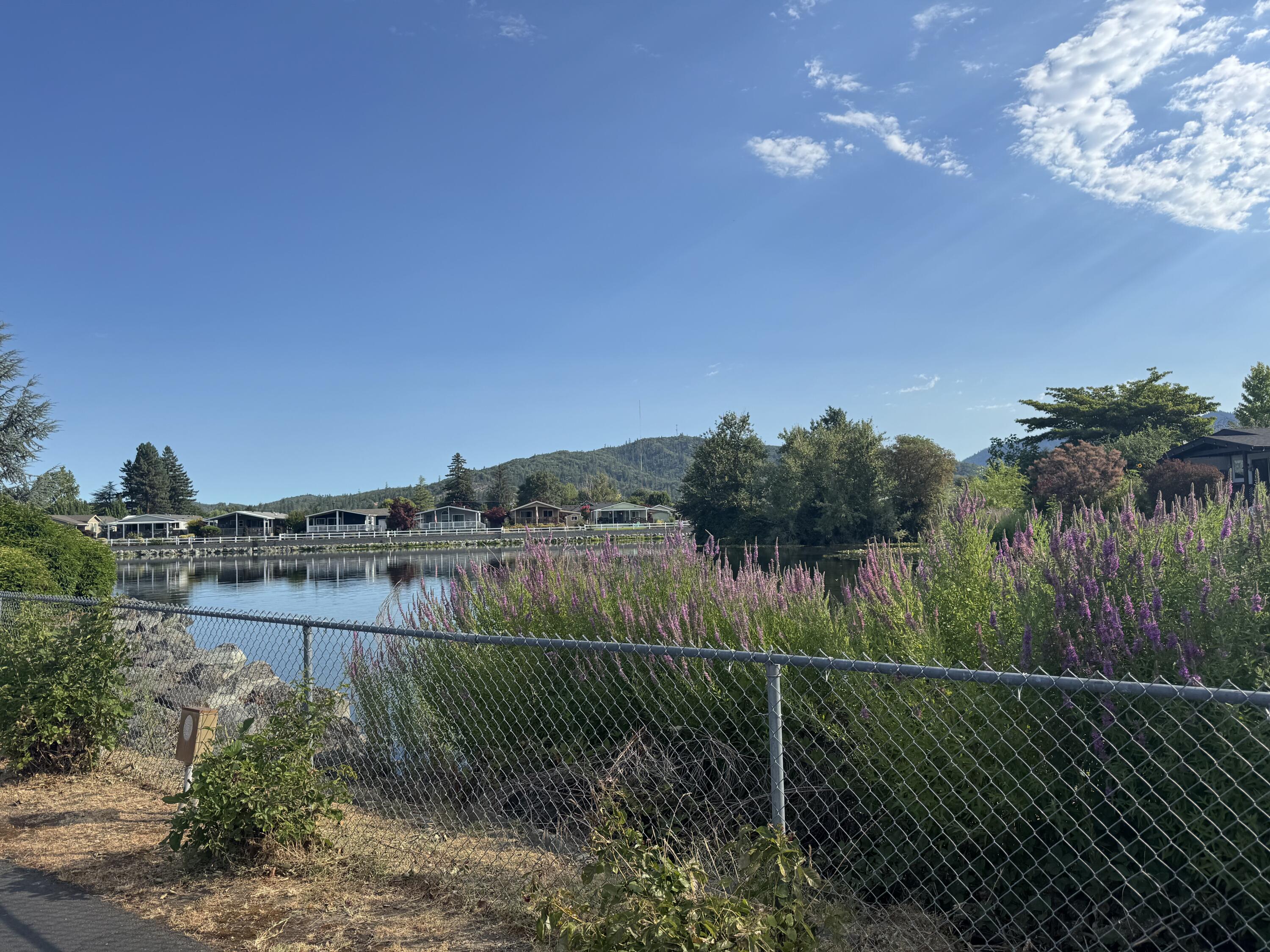 Rogue Lea Estates - Residential