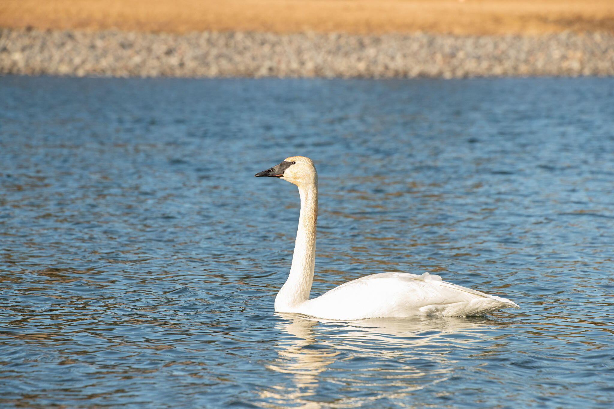 Lakes At Tanager PUD - Residential