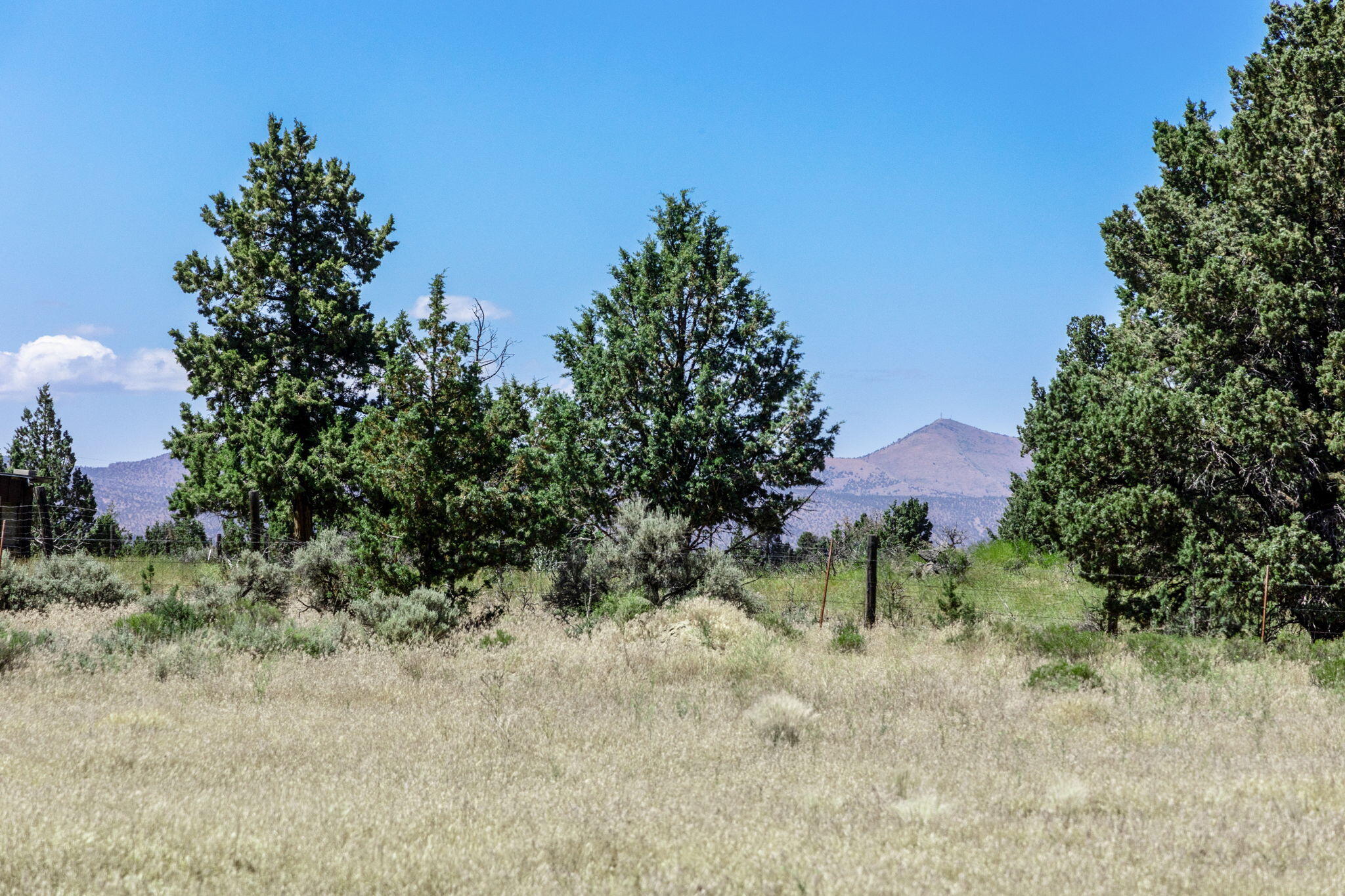 Twin Lakes Ranch - Land