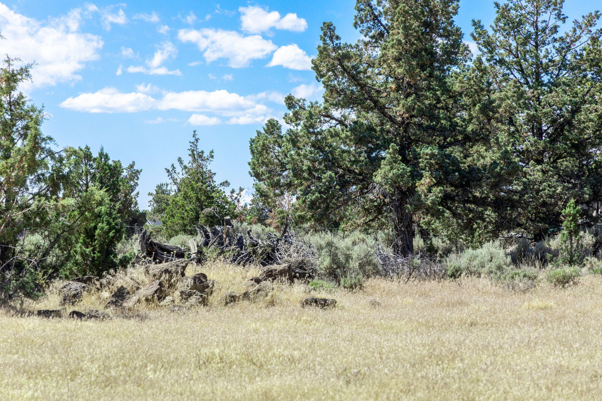 Twin Lakes Ranch - Land