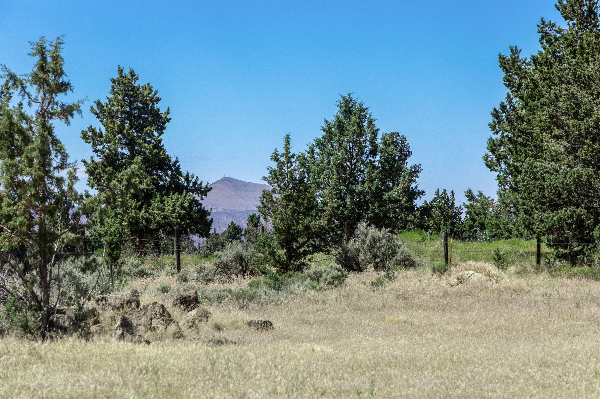 Twin Lakes Ranch - Land