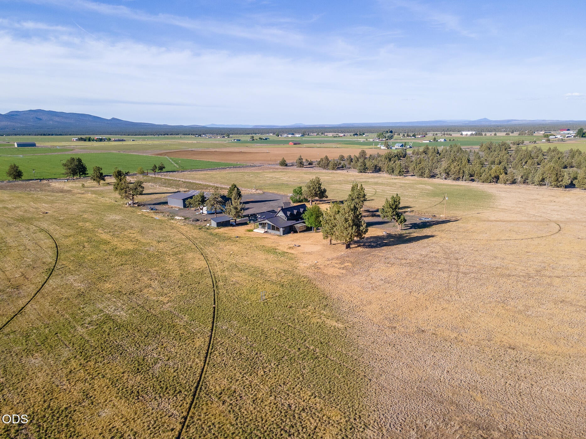 26275 Willard Road