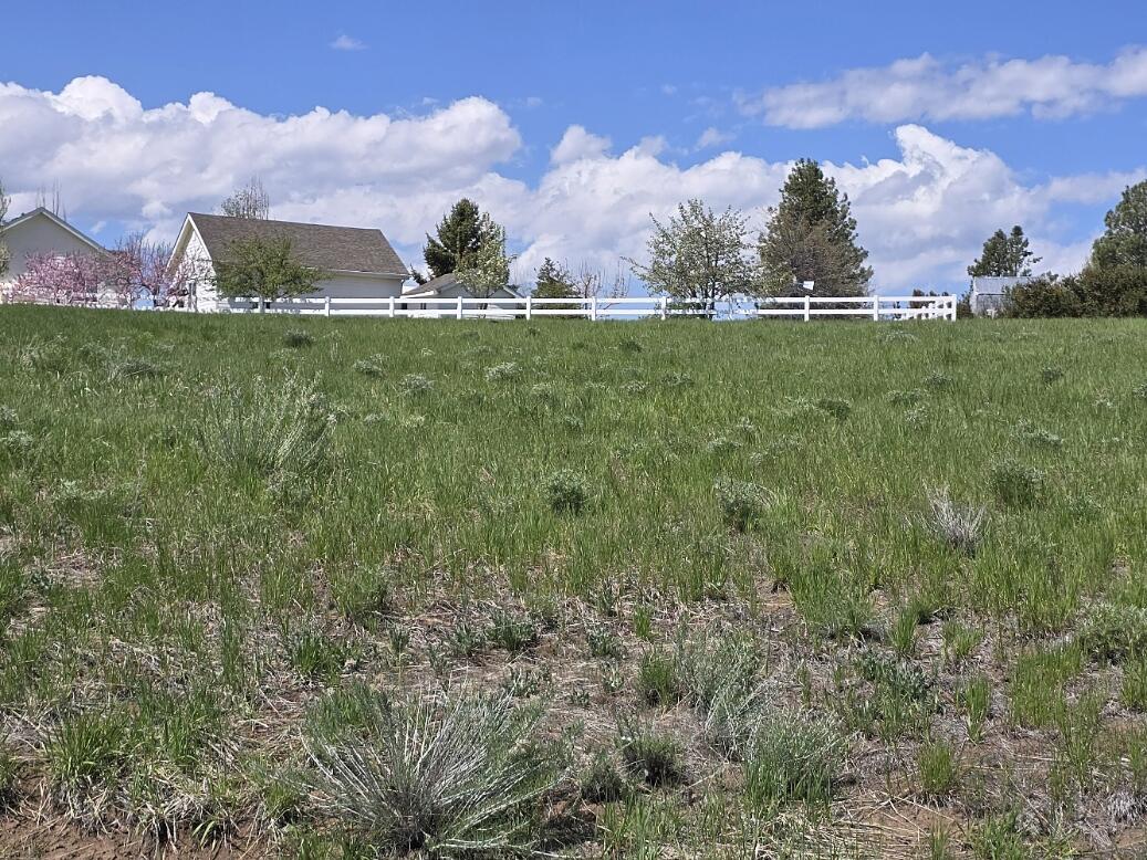 Oregon Shores - Land