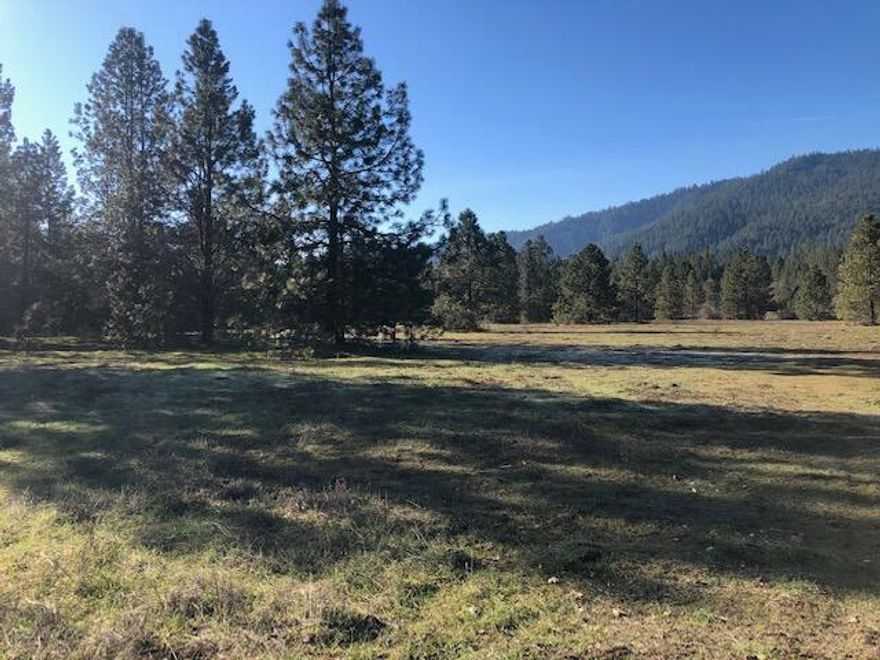 AMAZING FLAT MEADOWS, Forest, and GRAZING LAND all on 32.67 acres and it even has WATER RIGHTS to Evans Creek. Build your DREAM HOME with abundant MOUNTAIN VIEWS and create your own OASIS. Buyer to do own due diligence as to uses.