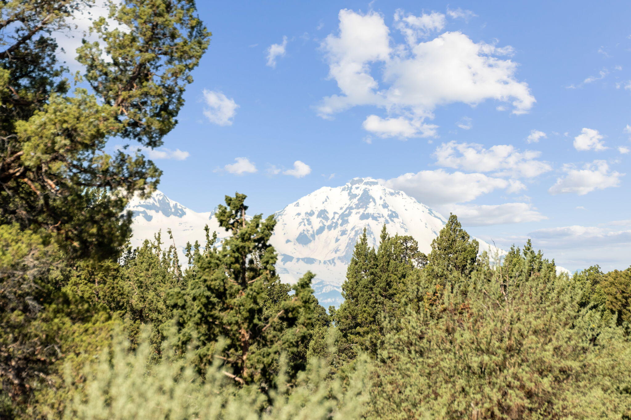 Pronghorn - Residential