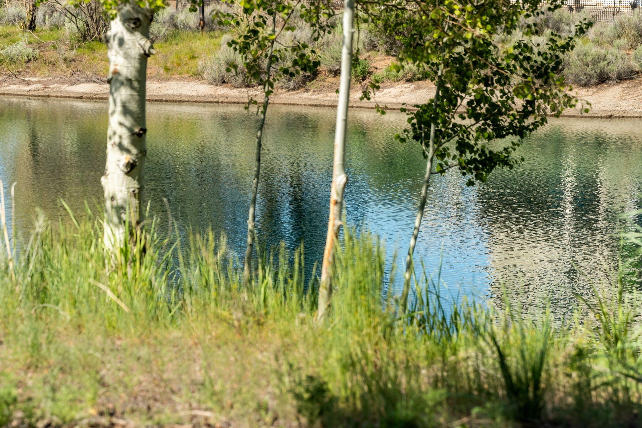 Pronghorn - Residential