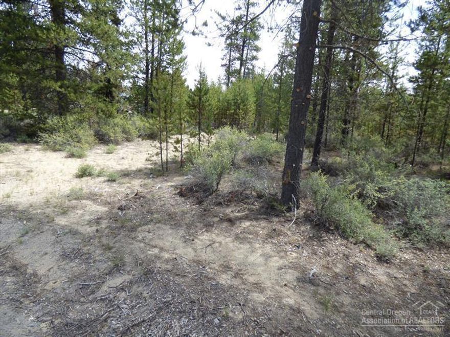 5 acres in antelope meadows, heavily treed, power in the street. close to town and all the amenaties central oregon has to offer. Fishing, hunting, horse backing, snowmobiling and lots more this property is very close to hundreds of acres of gov't lands. come see only 60,000