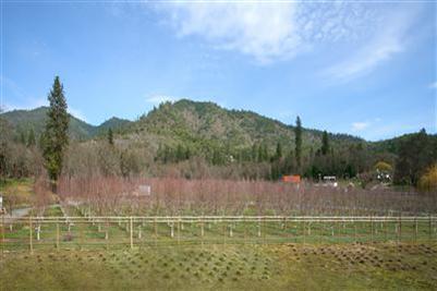 N/A - Commercial Sale