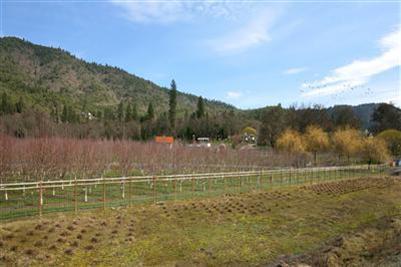 N/A - Commercial Sale