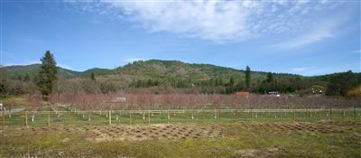 N/A - Commercial Sale