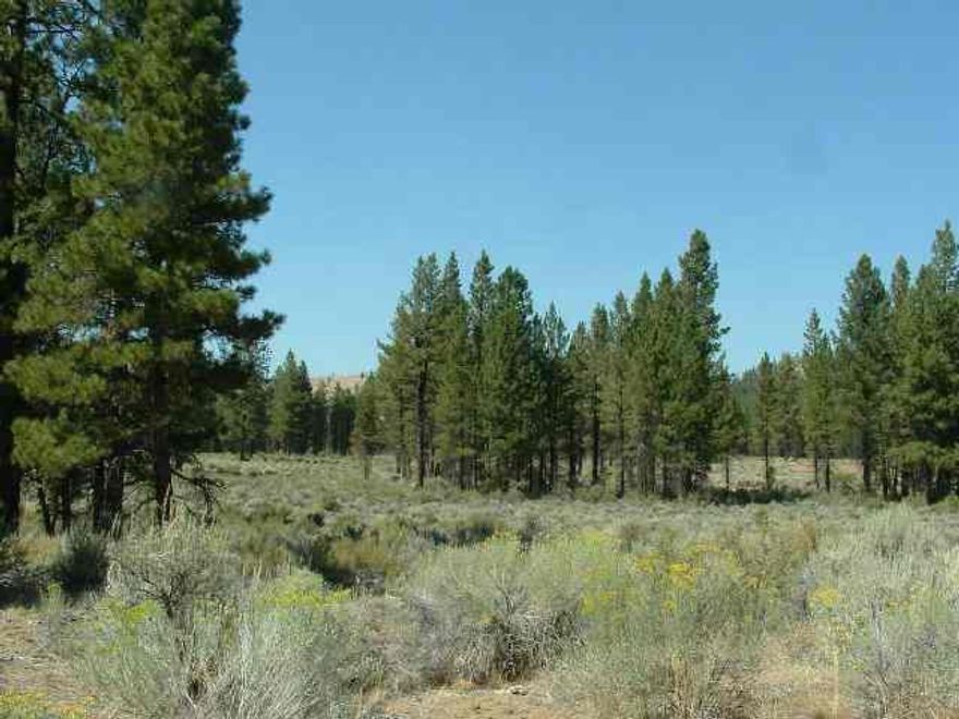 Two Adjacent Residential Lots Totalling 4.75 Acres. Good Location For A Hunting Cabin. Power Is Not Close.
