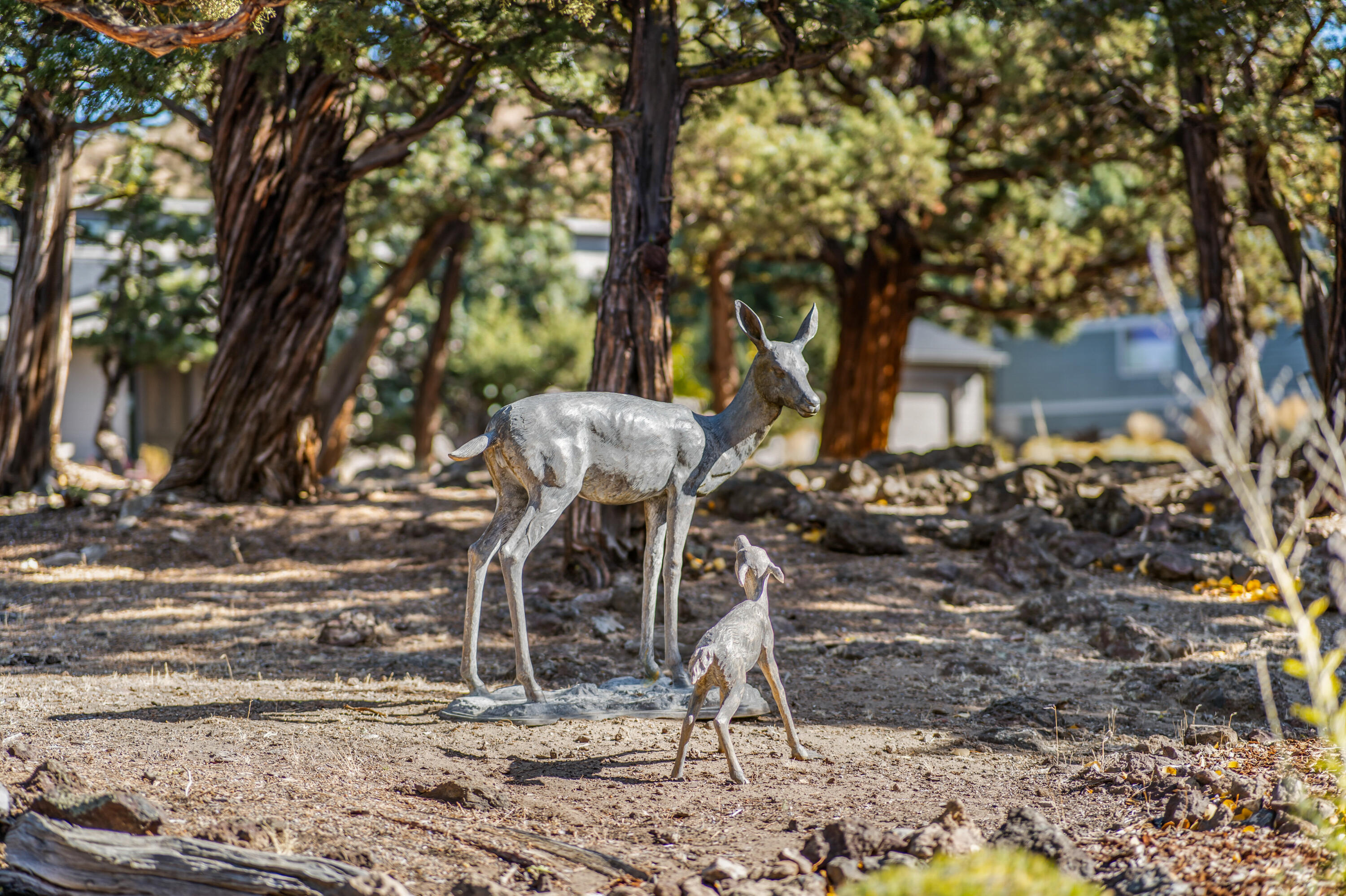 Ridge At Eagle Crest - Residential