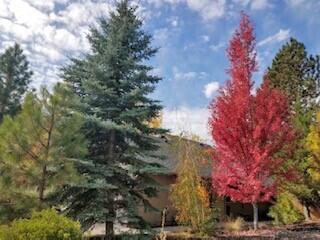 Quail Pine Estates - Residential