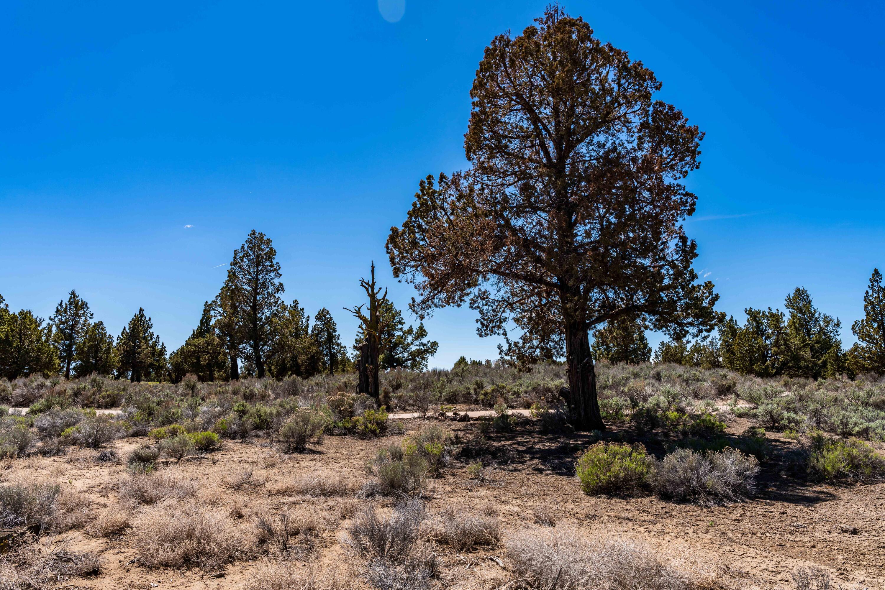 23107 Watercourse Way Lot 53