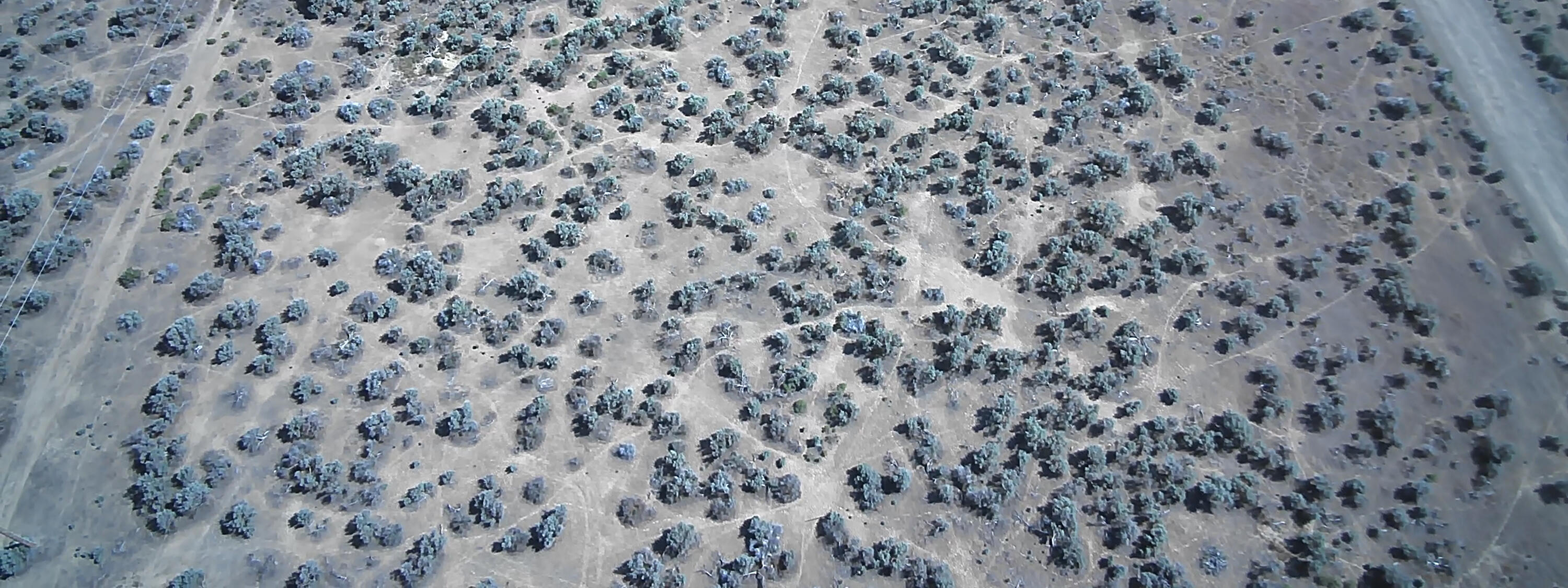 Sevan Lake Estates - Land