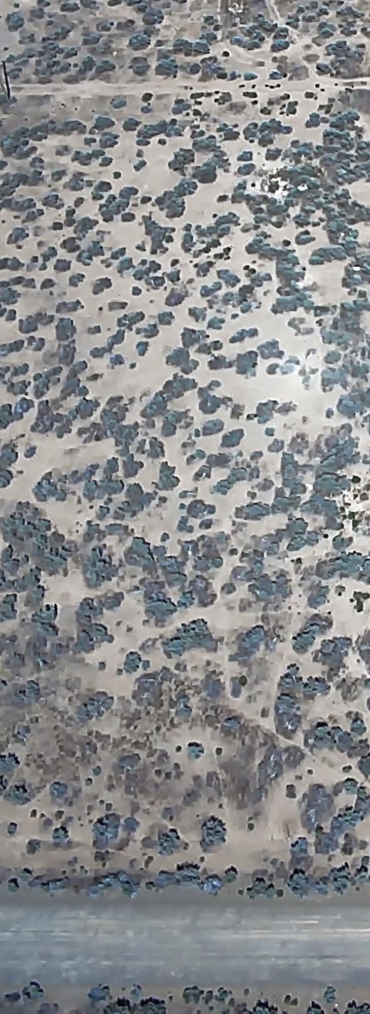 Sevan Lake Estates - Land