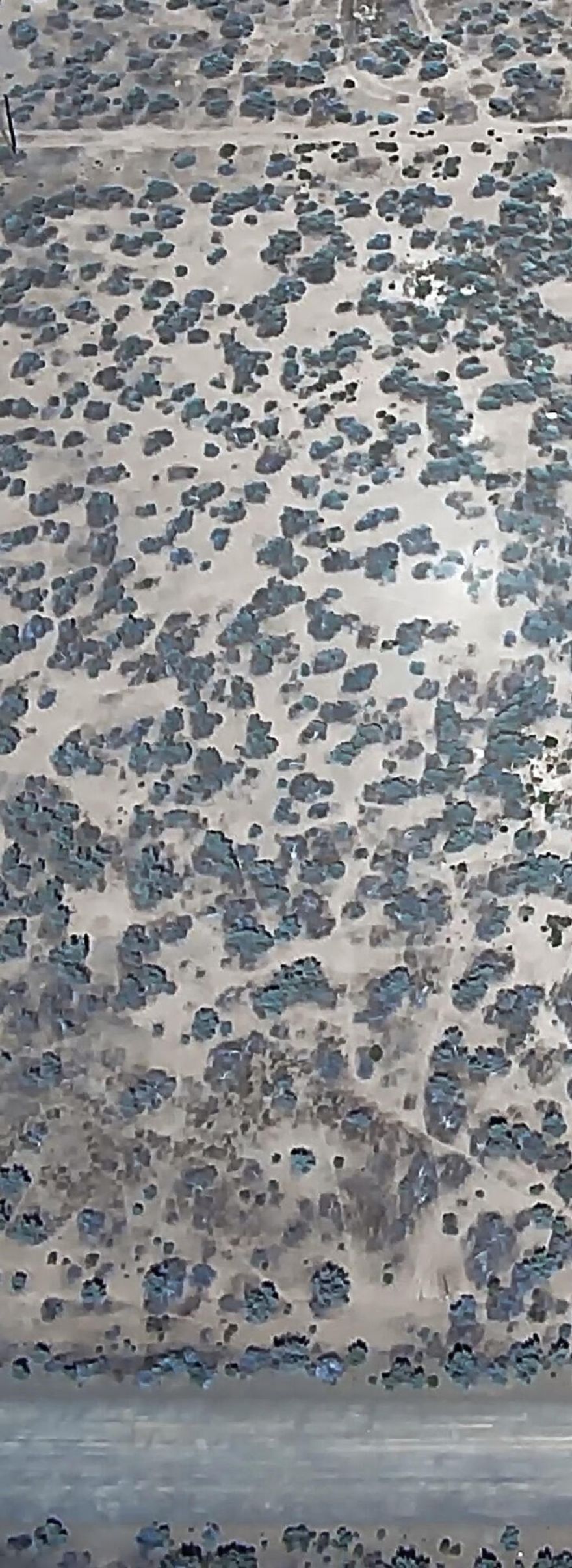 Perfect level one acre lot to build a home or a cabin for a getaway offering views of the Black Hills and Table Rock. Access to BLM roads within 5 minutes from the property. Christmas Valley, OR offers a unique mix of recreation and amenities suited for outdoor enthusiasts and those seeking rural charm. The Christmas Valley Sand Dunes-Oregon's largest inland shifting dunes-attract off-highway vehicle (OHV) riders from across the region. Nearby. the Lost Forest and Fossil Lake provide opportunities for hiking, wildlife viewing. and exploring rare geological features. The property is located in the center of multiple hunting units to pick from for trophy big game hunting. The town also features a challenging nine-hole golf course, seasonal fishing and boating at Baert Lake, and family-friendly facilities like parks, a community hall, and rodeo grounds. With access to wide-open desert landscapes. Christmas Valley is a gateway to both adventure and small-town hospitality.