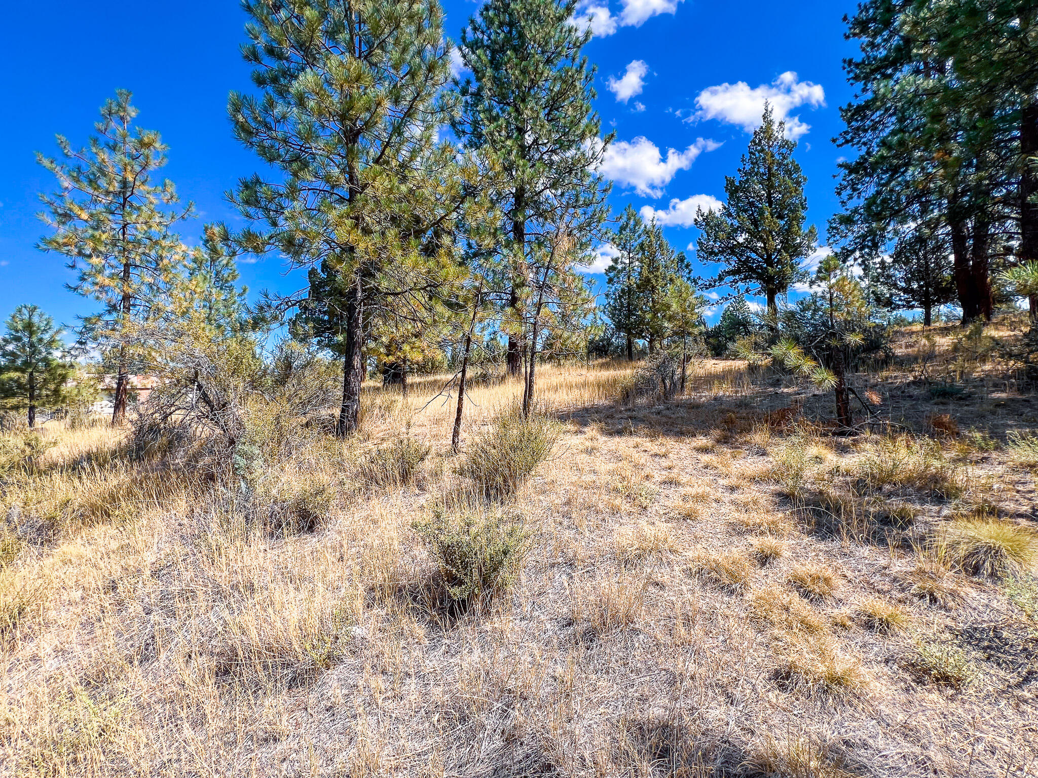 Edgewood Terrace - Residential