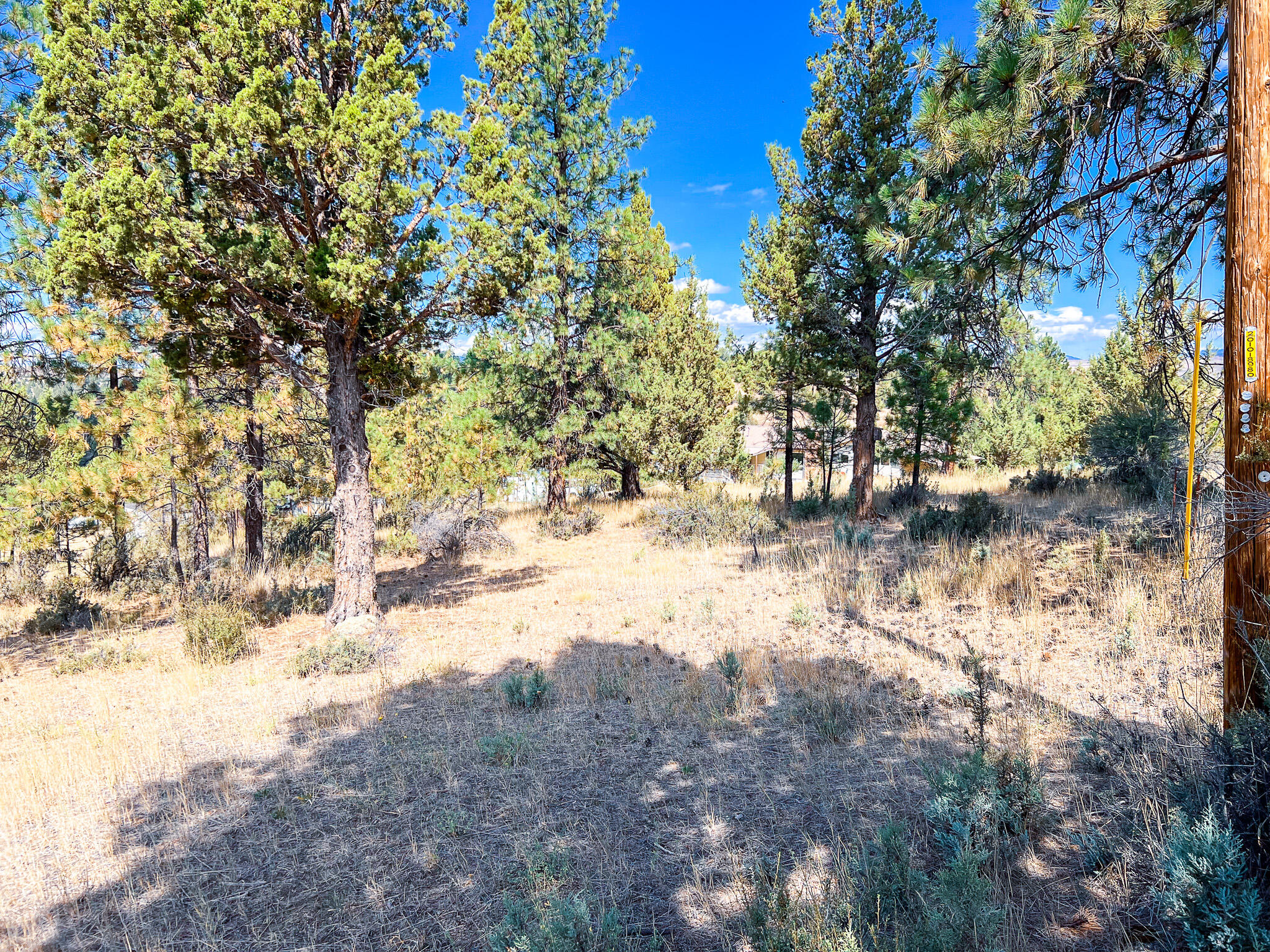 Edgewood Terrace - Residential