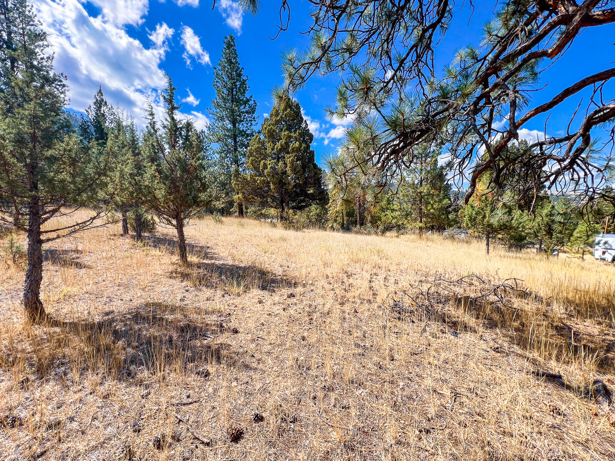 Edgewood Terrace - Residential