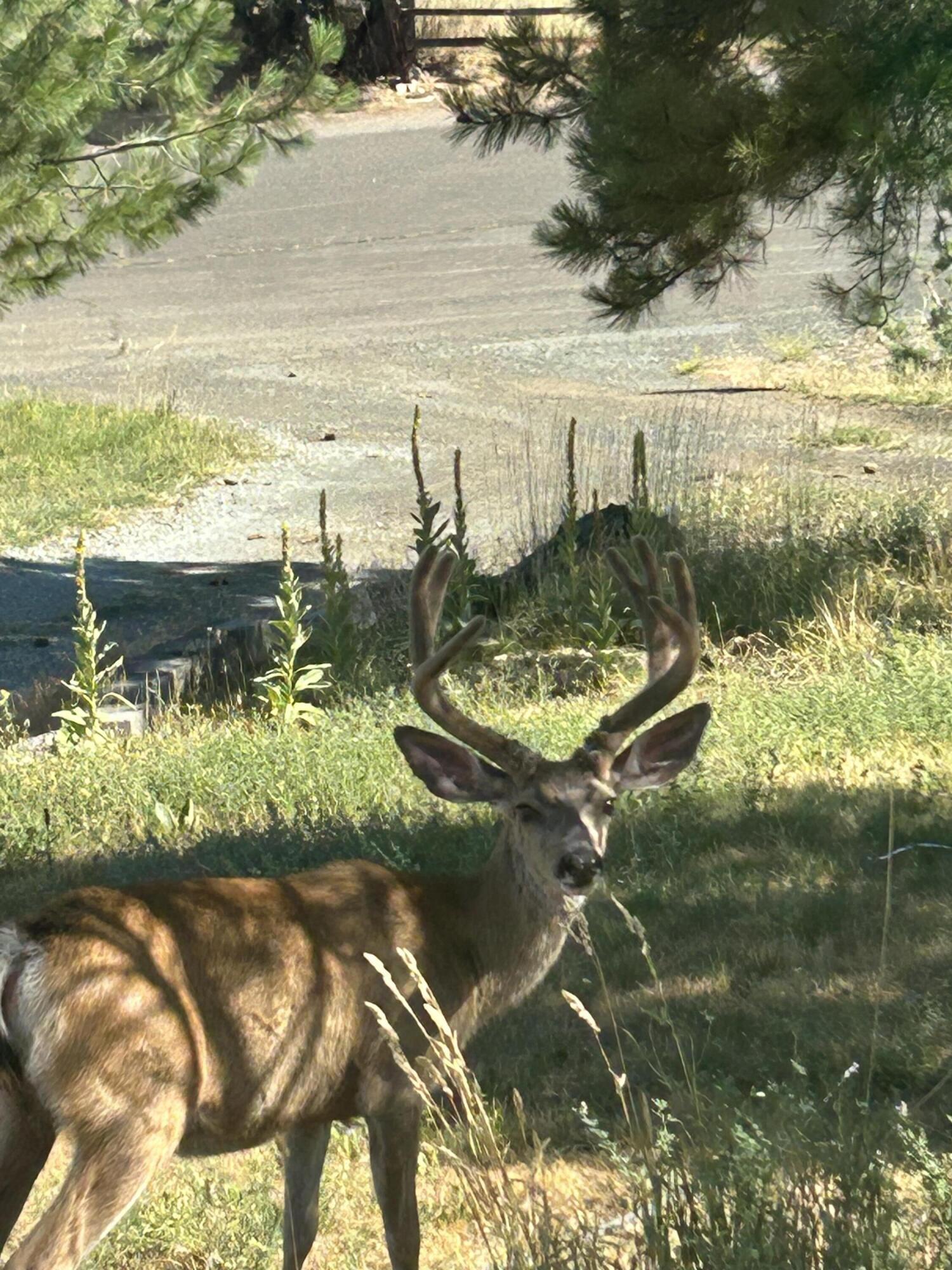 Edgewood Terrace - Residential