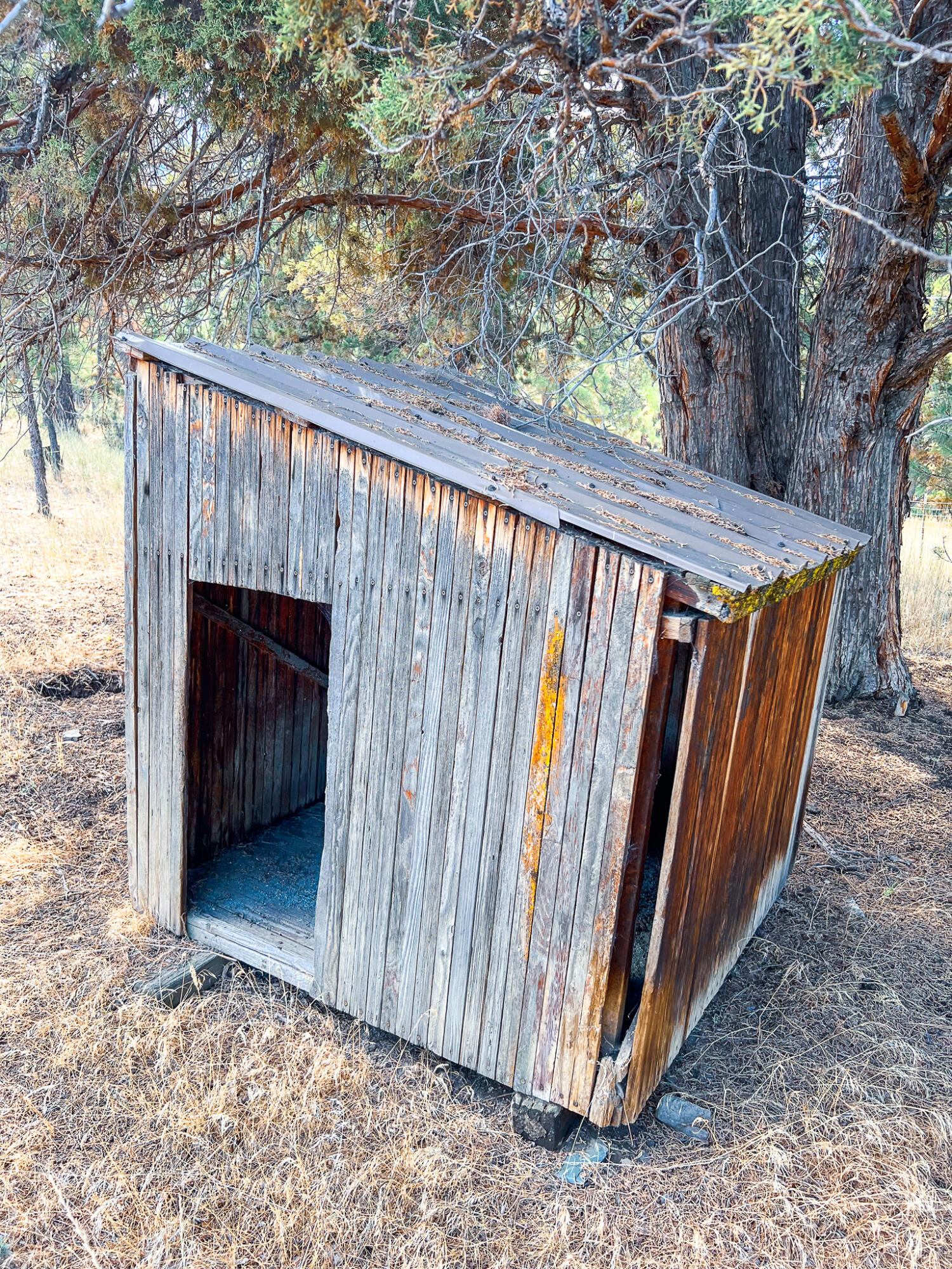 Edgewood Terrace - Residential