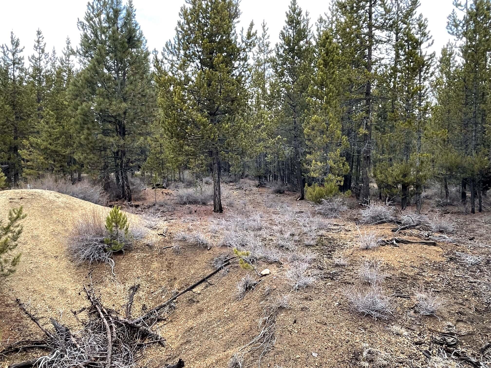 Two Rivers North - Land