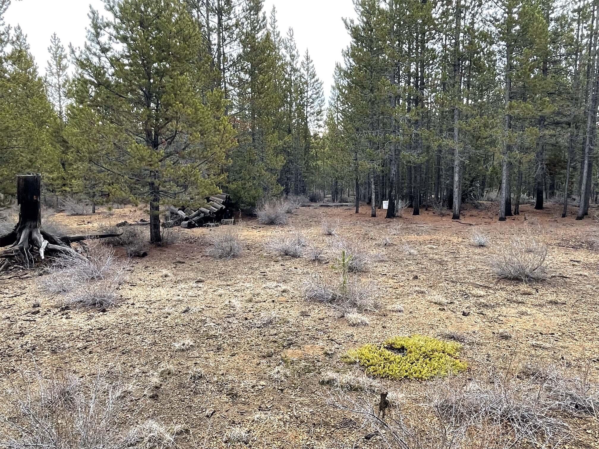 Two Rivers North - Land