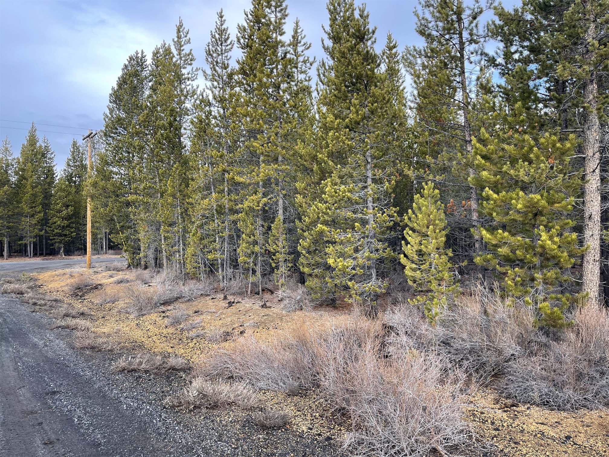 Two Rivers North - Land