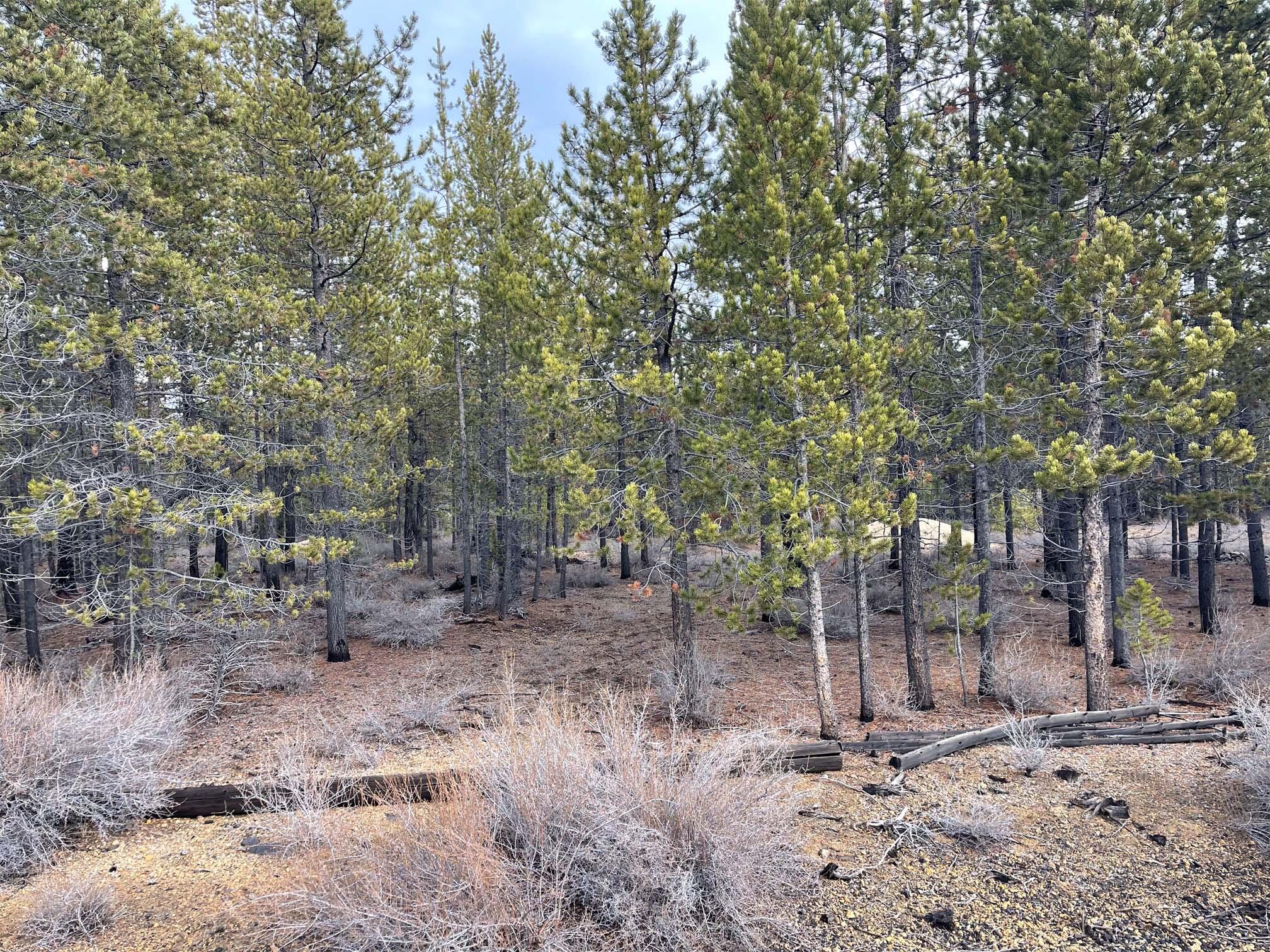 Two Rivers North - Land