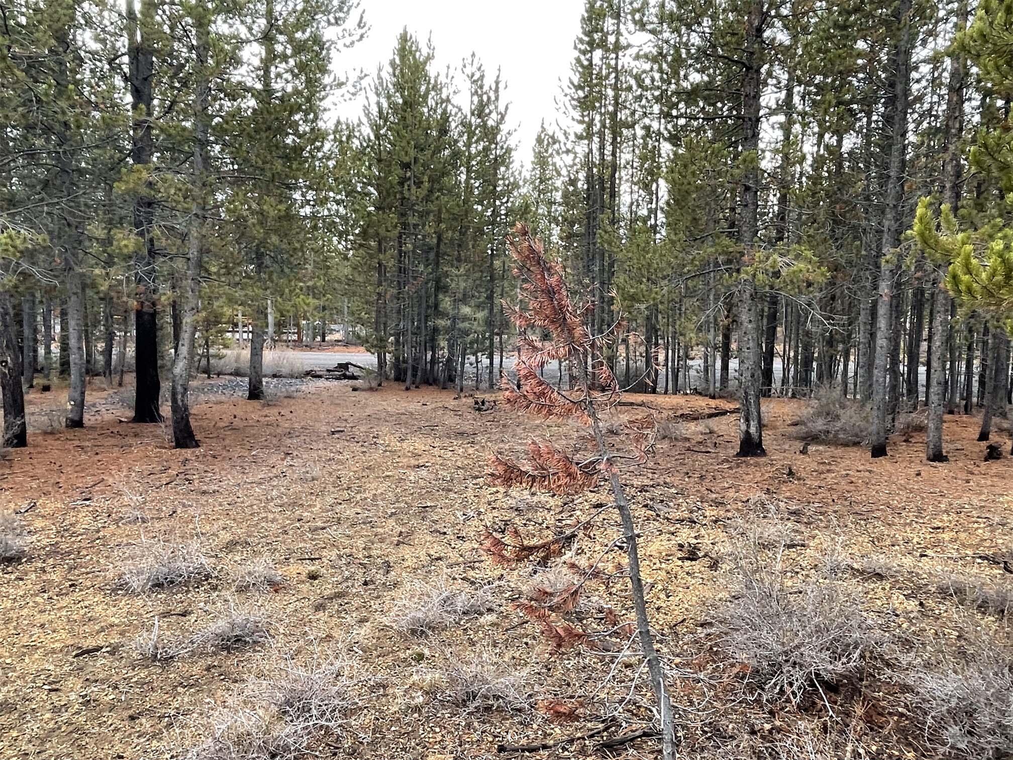 Two Rivers North - Land