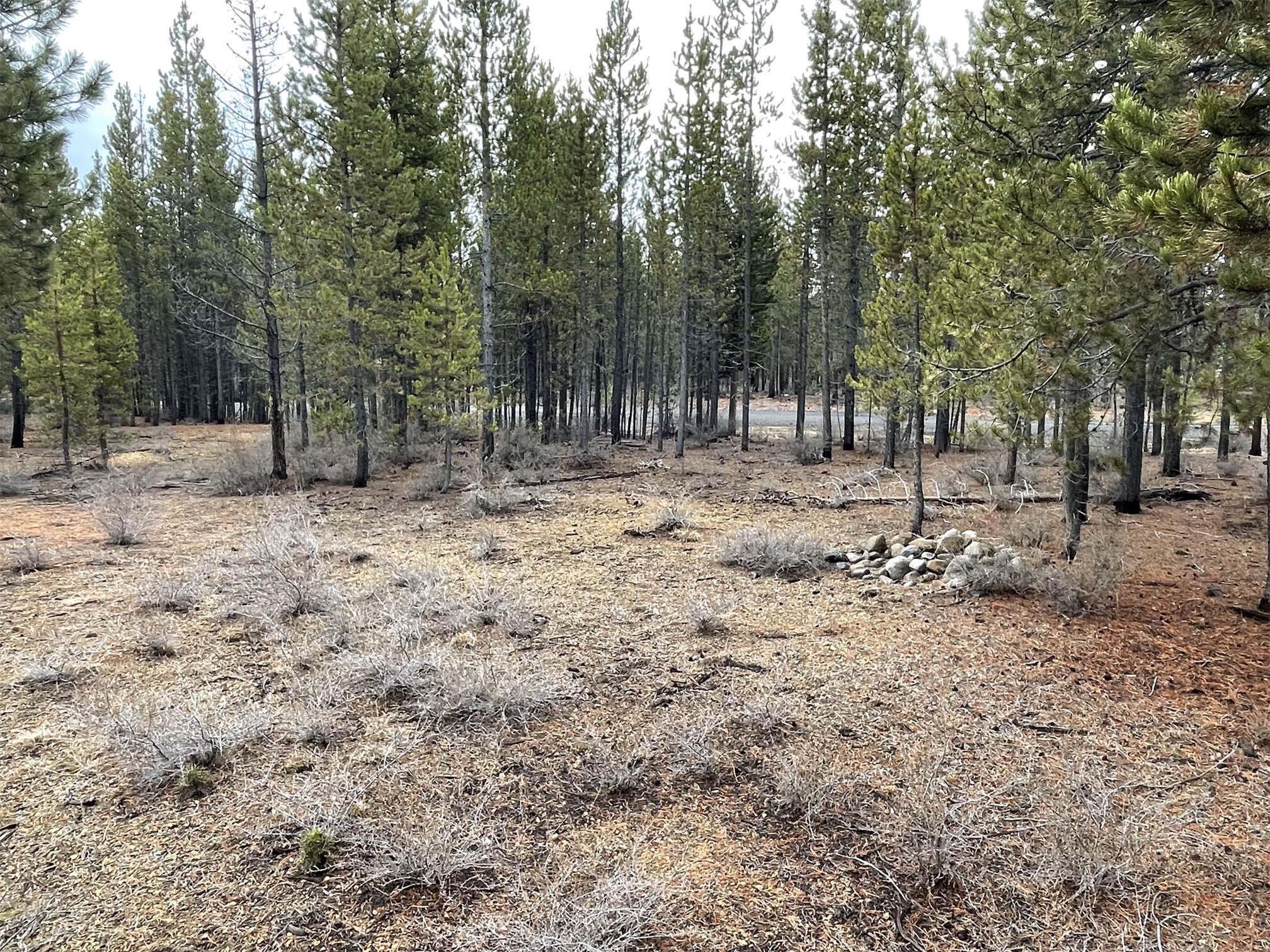 Two Rivers North - Land