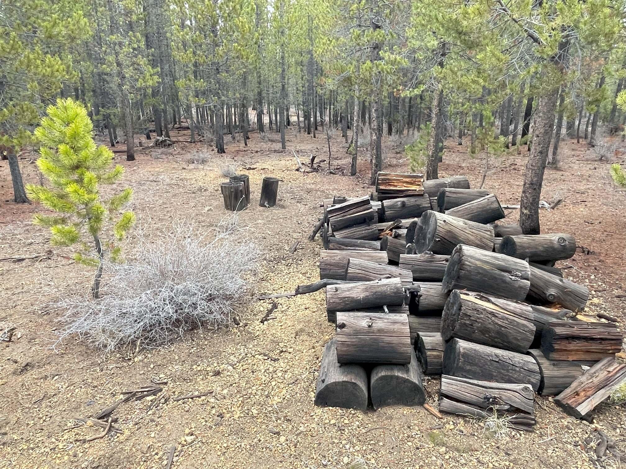 Two Rivers North - Land