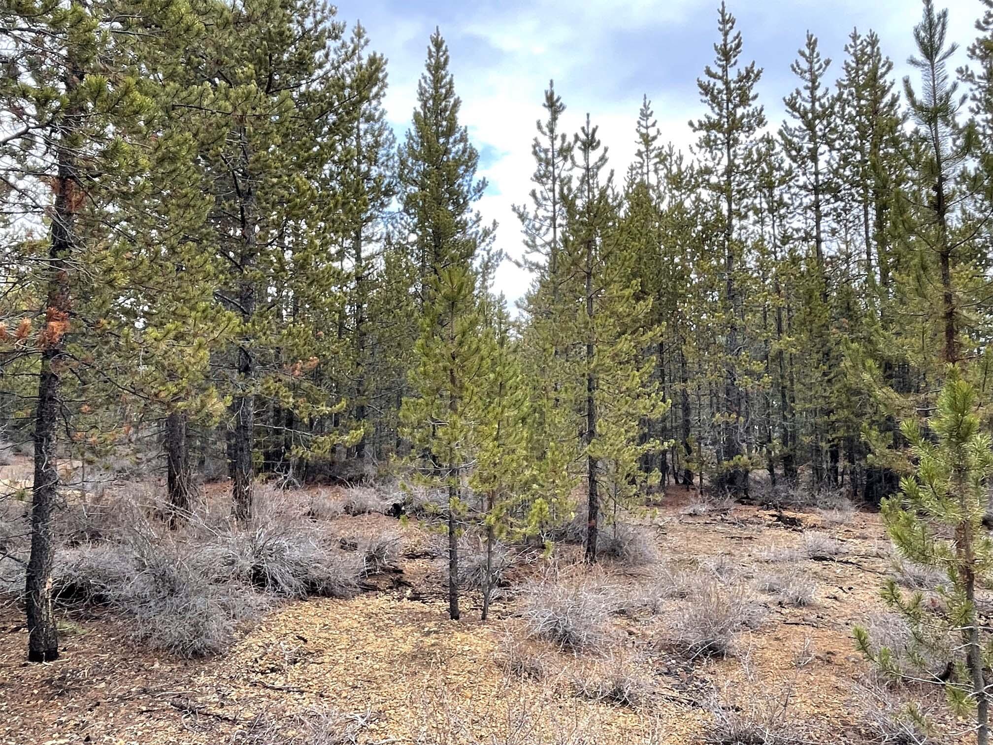 Two Rivers North - Land