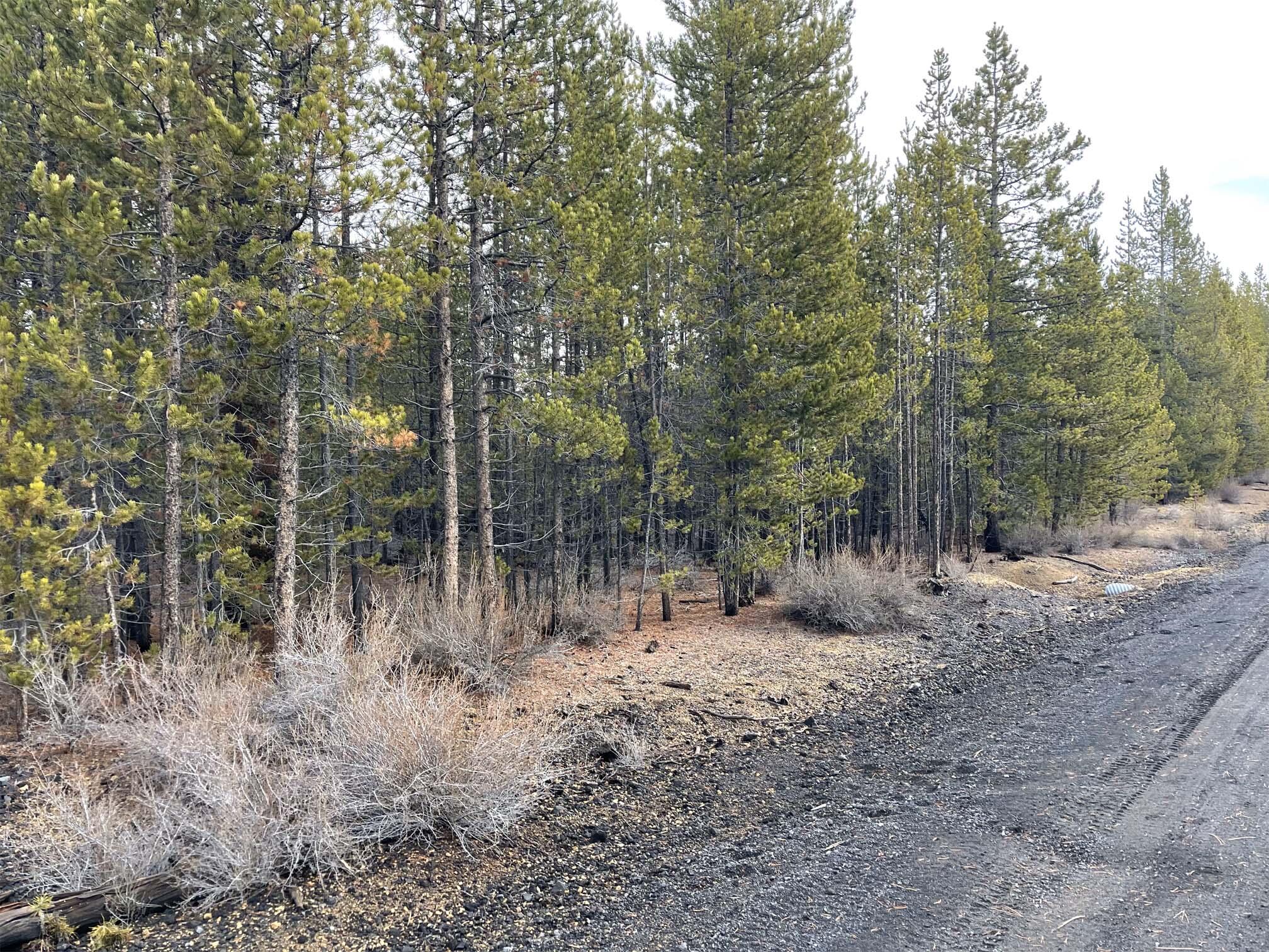 Two Rivers North - Land