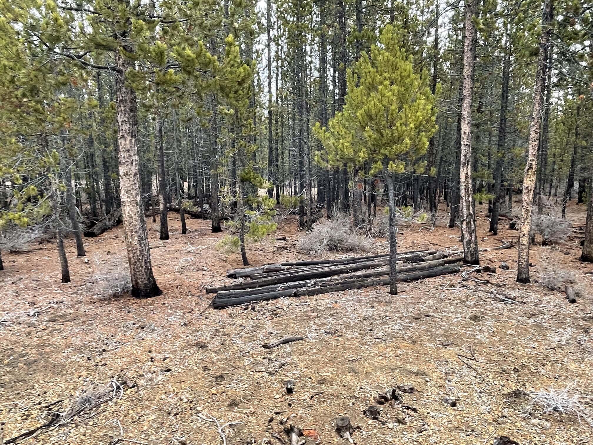 Two Rivers North - Land