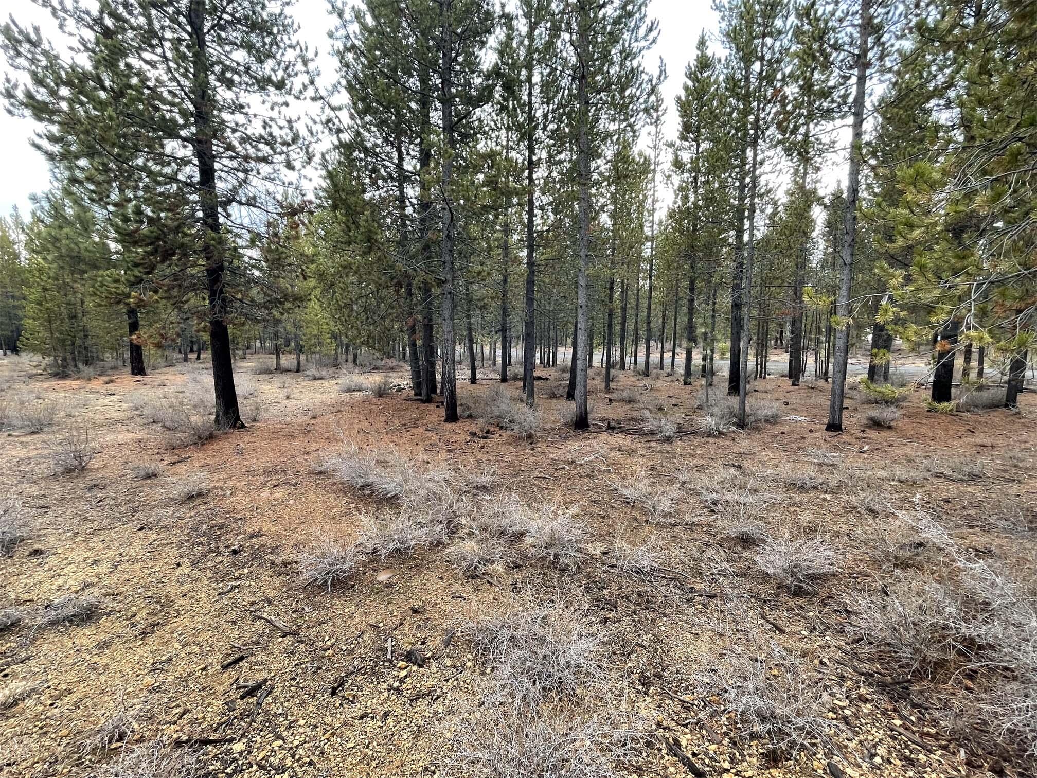 Two Rivers North - Land