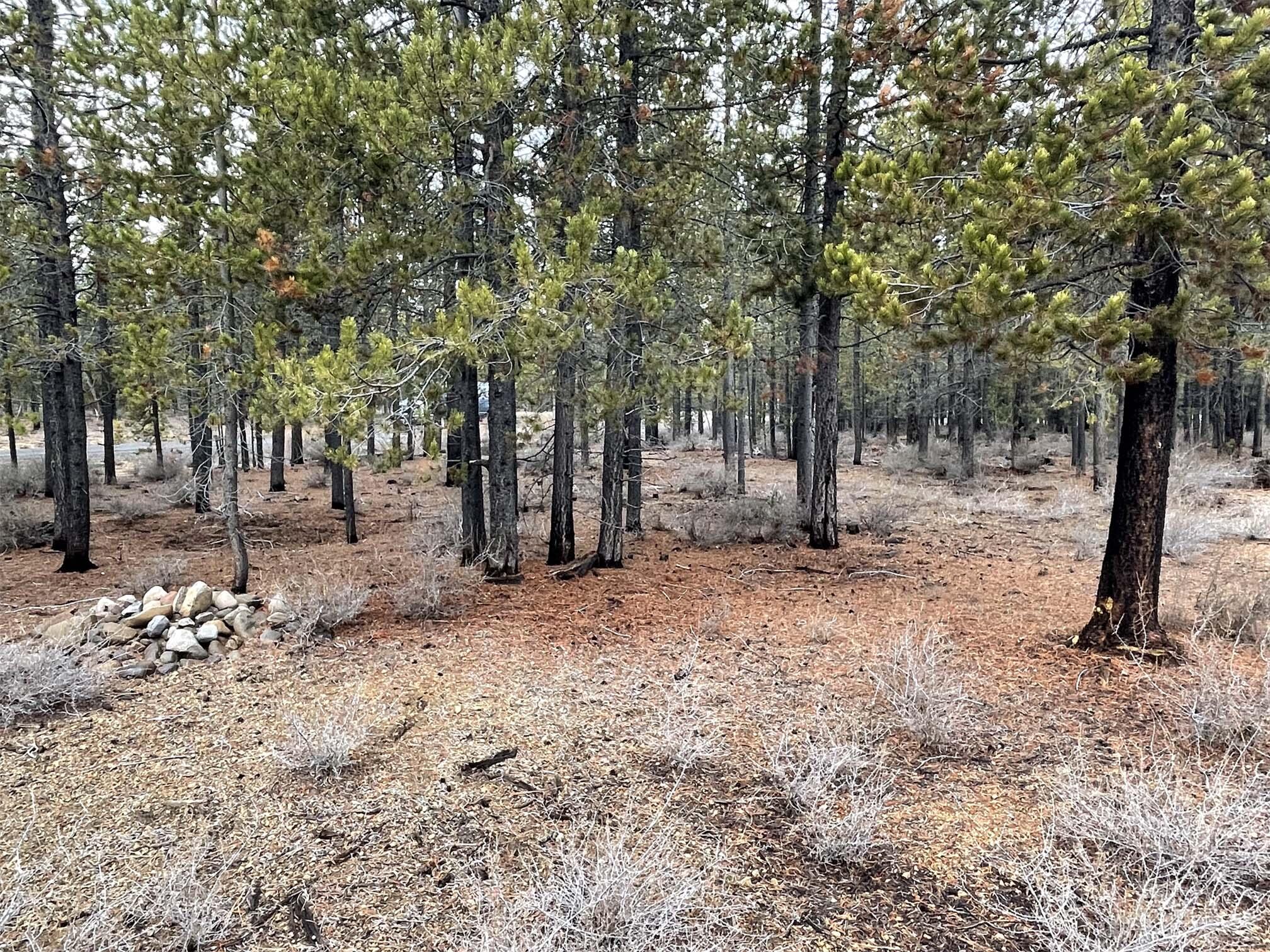 Two Rivers North - Land