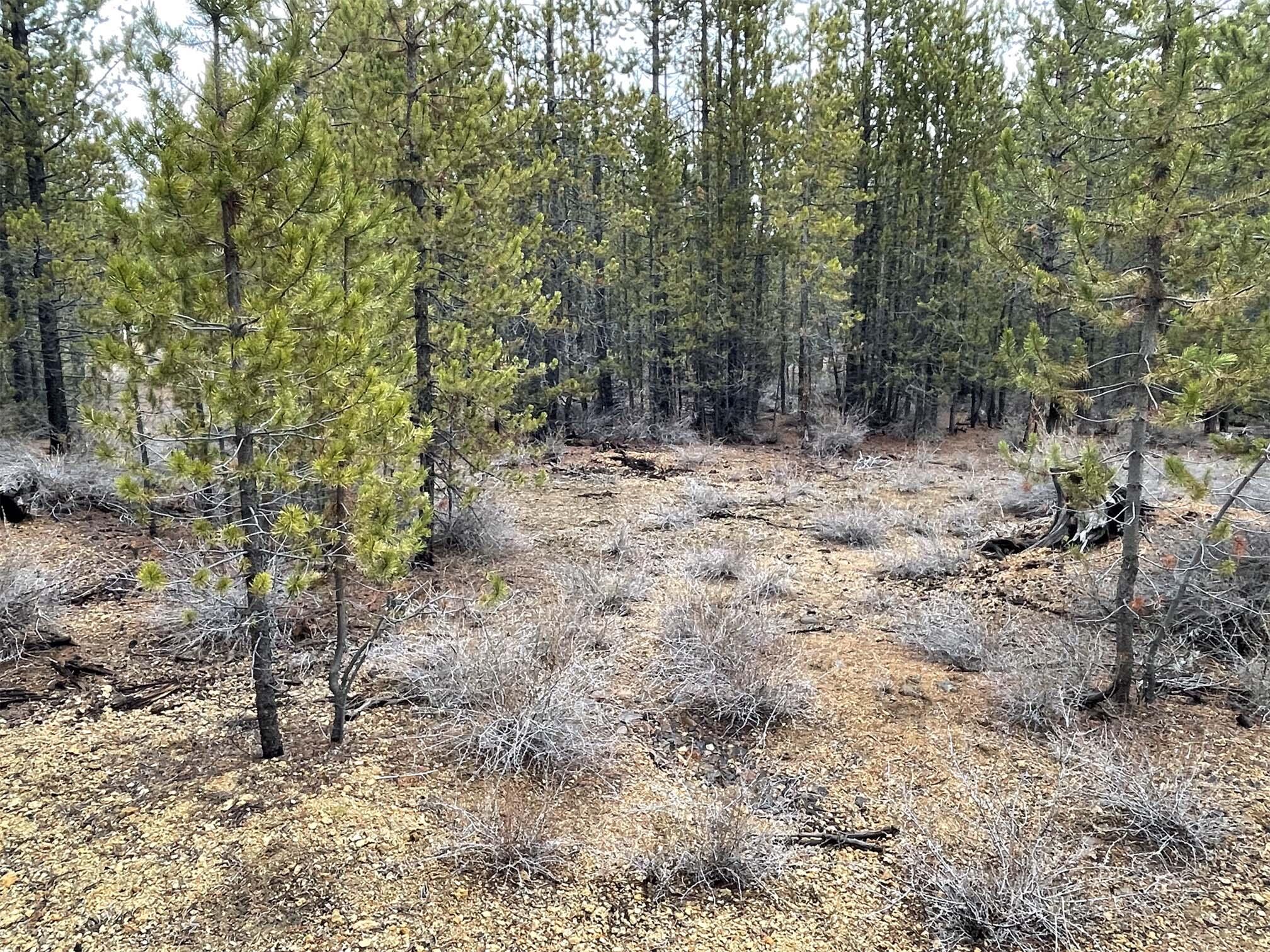 Two Rivers North - Land