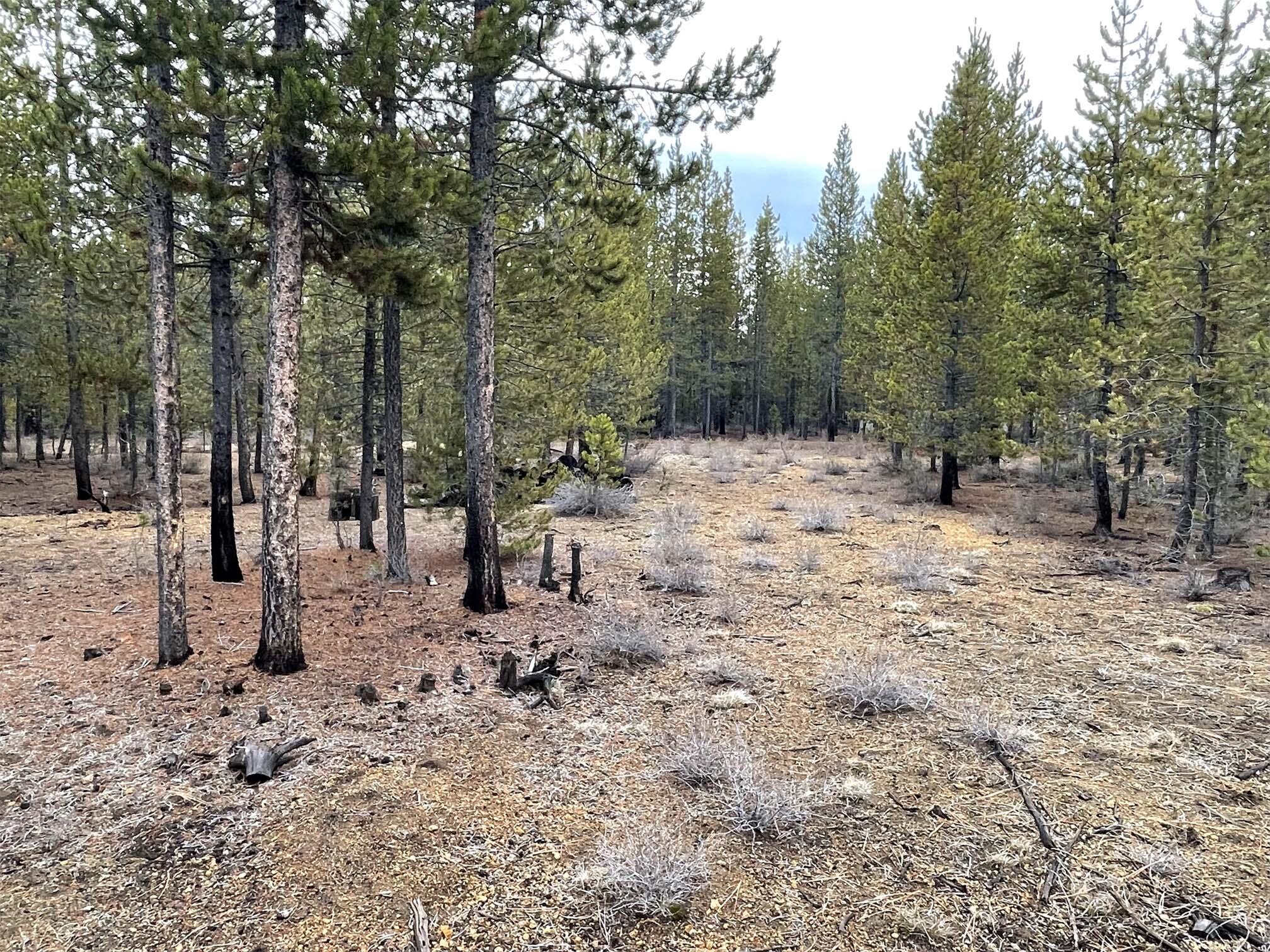 Two Rivers North - Land