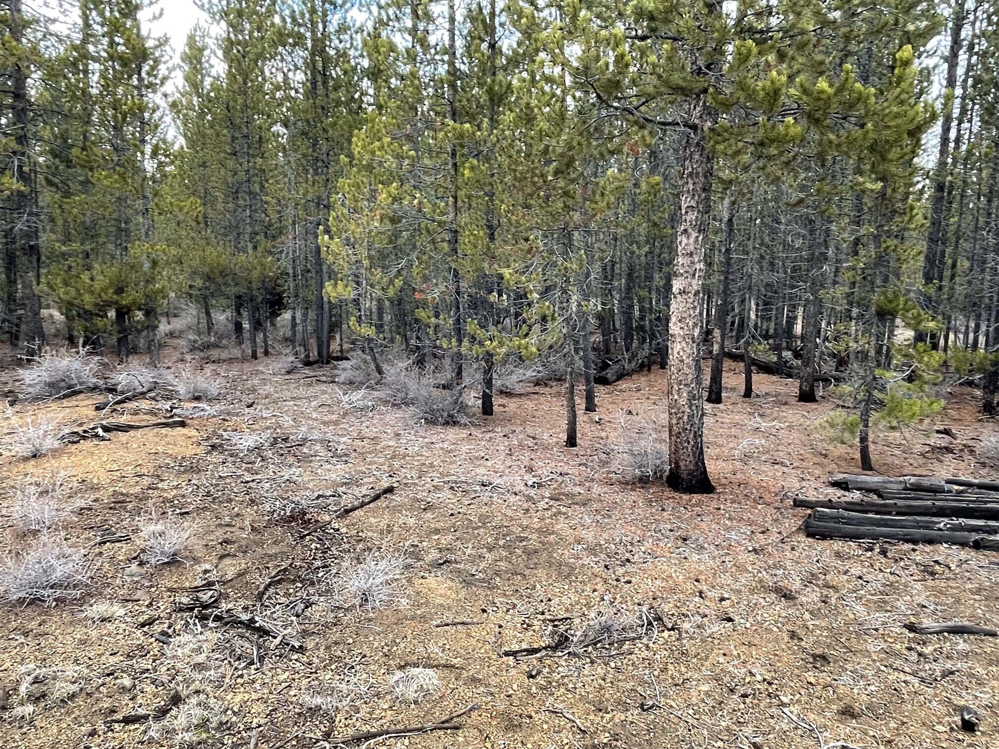 Two Rivers North - Land