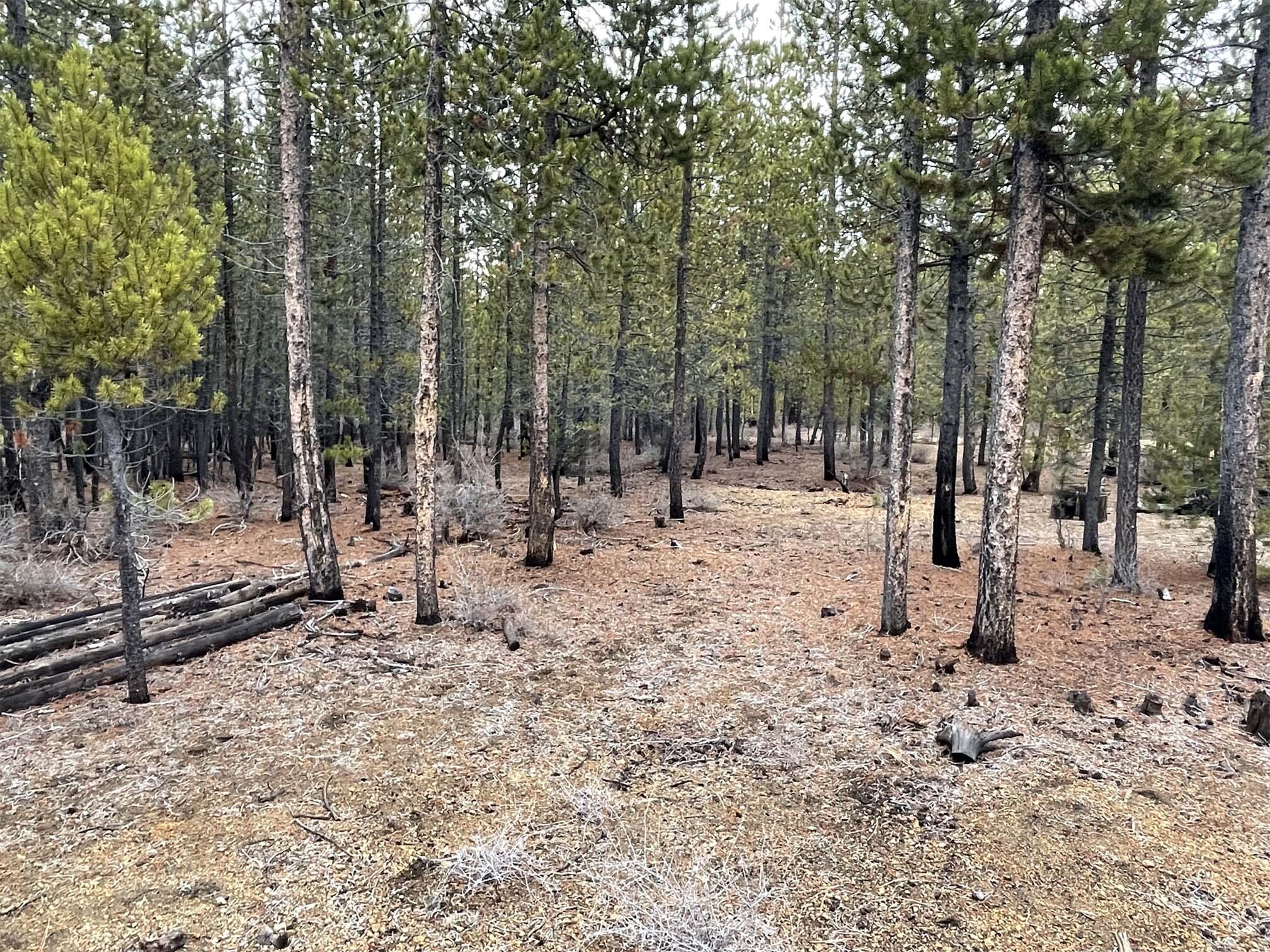 Two Rivers North - Land