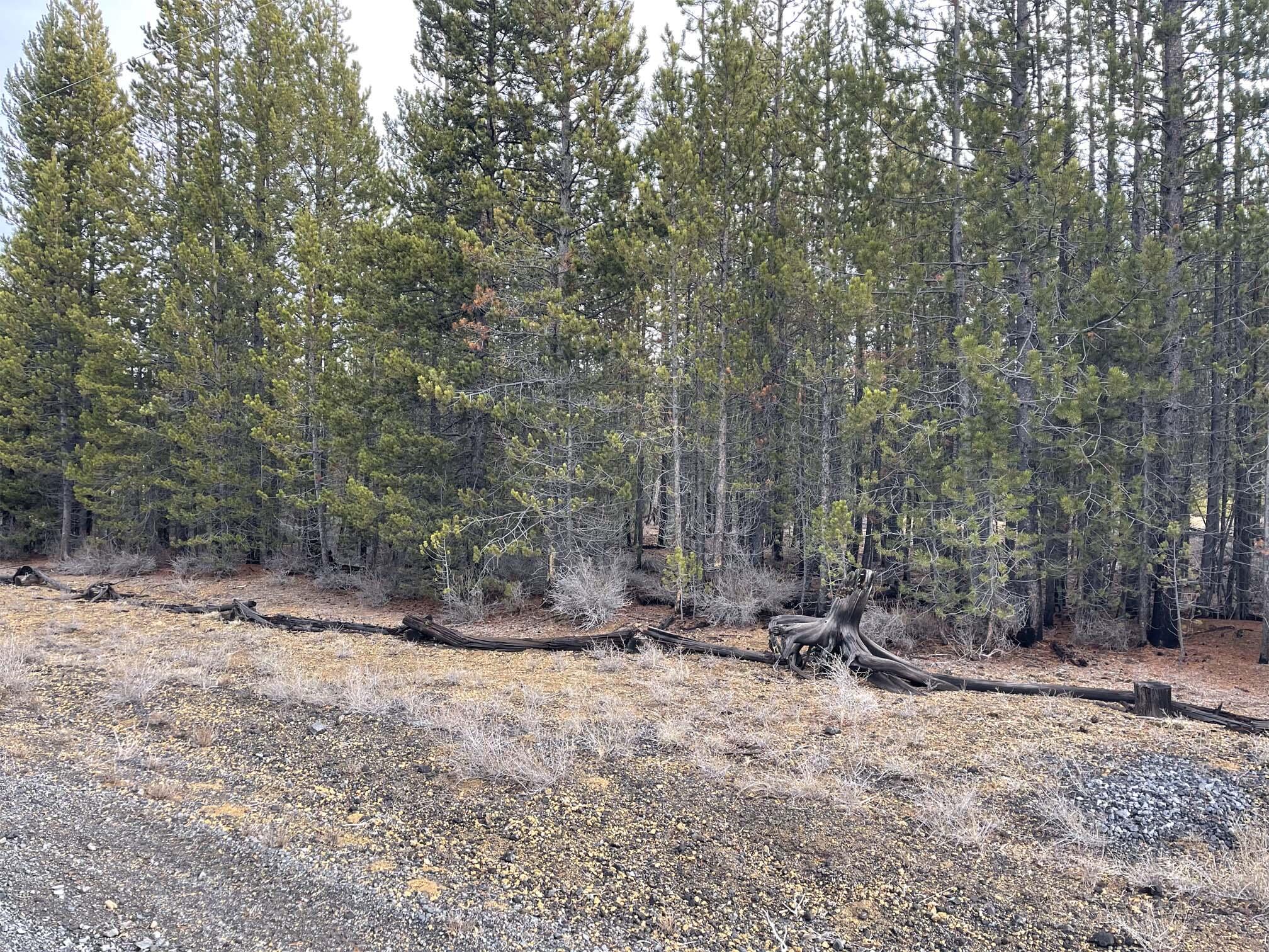 Two Rivers North - Land