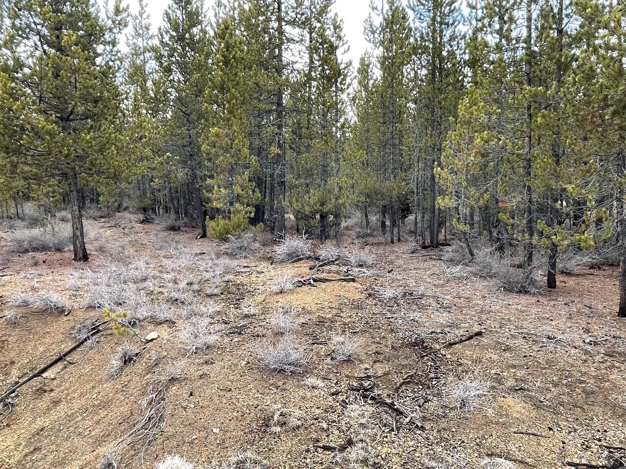 Two Rivers North - Land