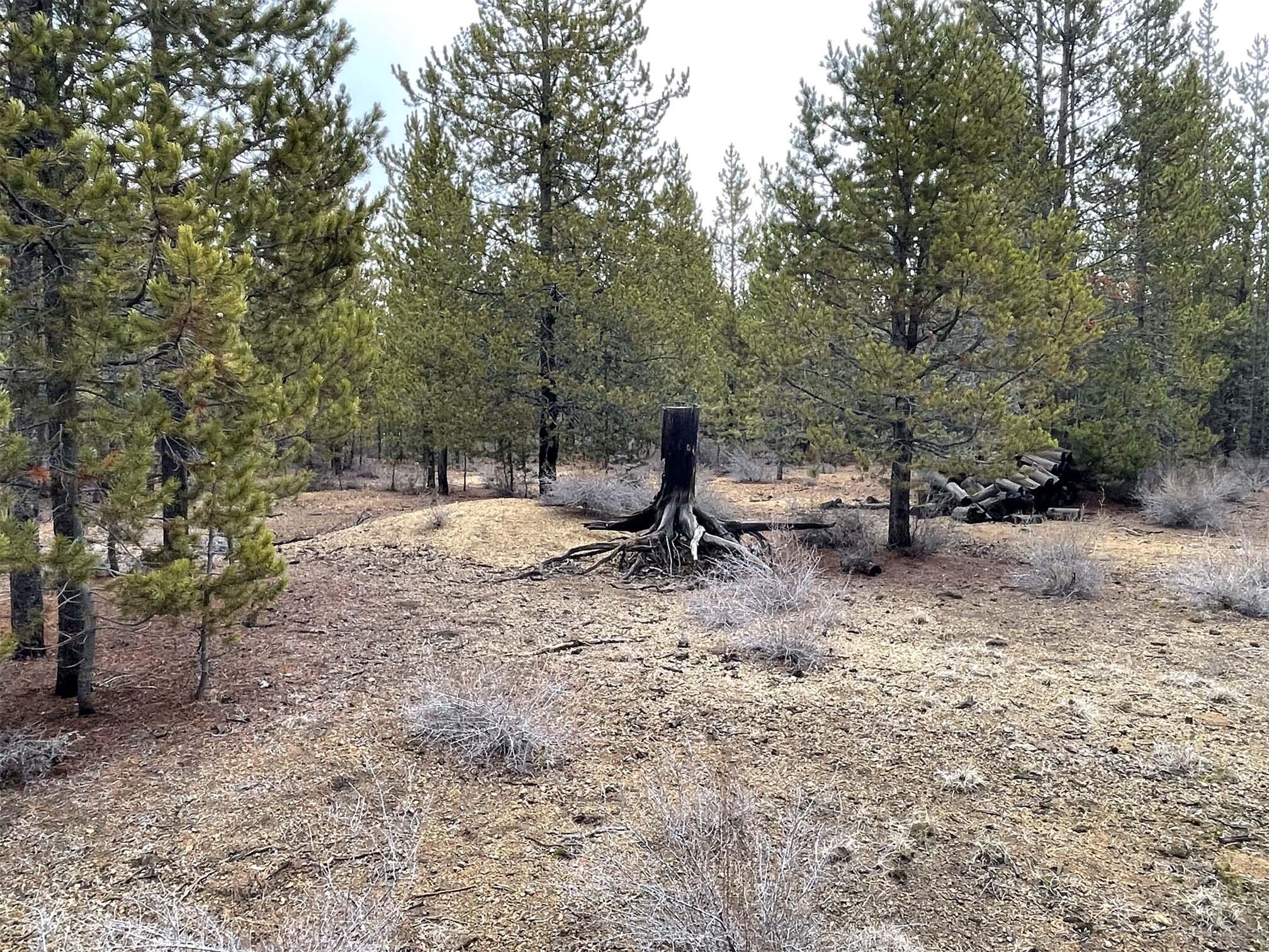 Two Rivers North - Land