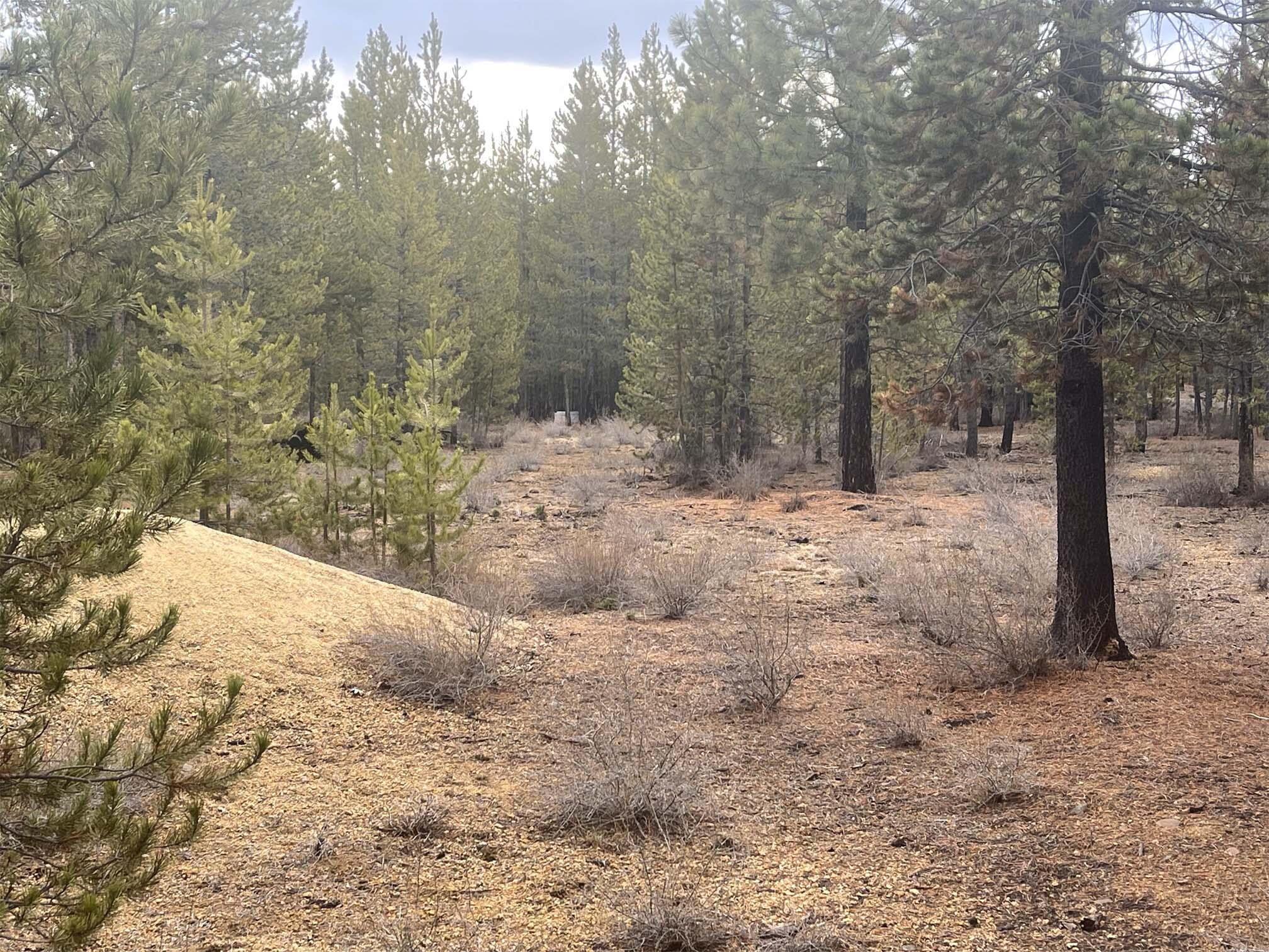 Two Rivers North - Land