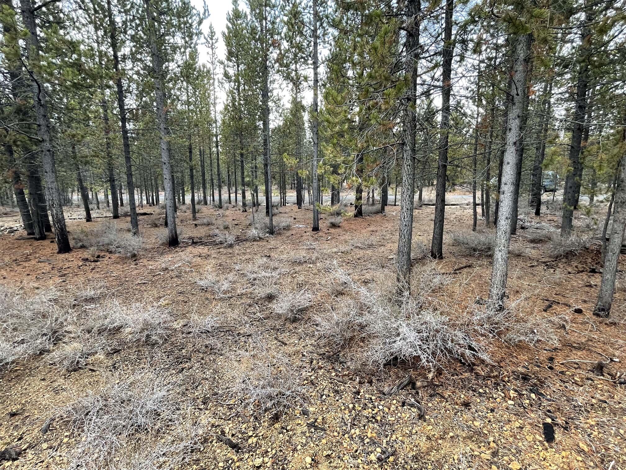 Two Rivers North - Land