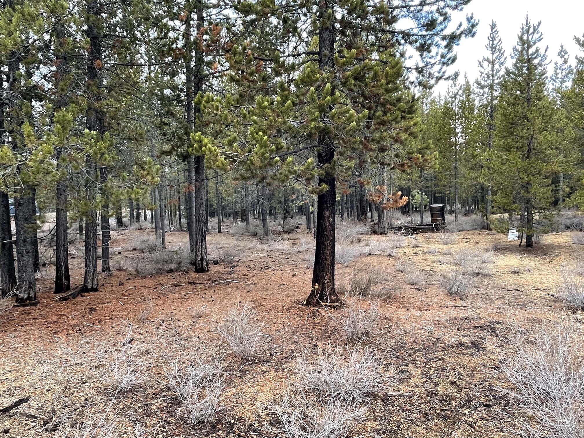 Two Rivers North - Land