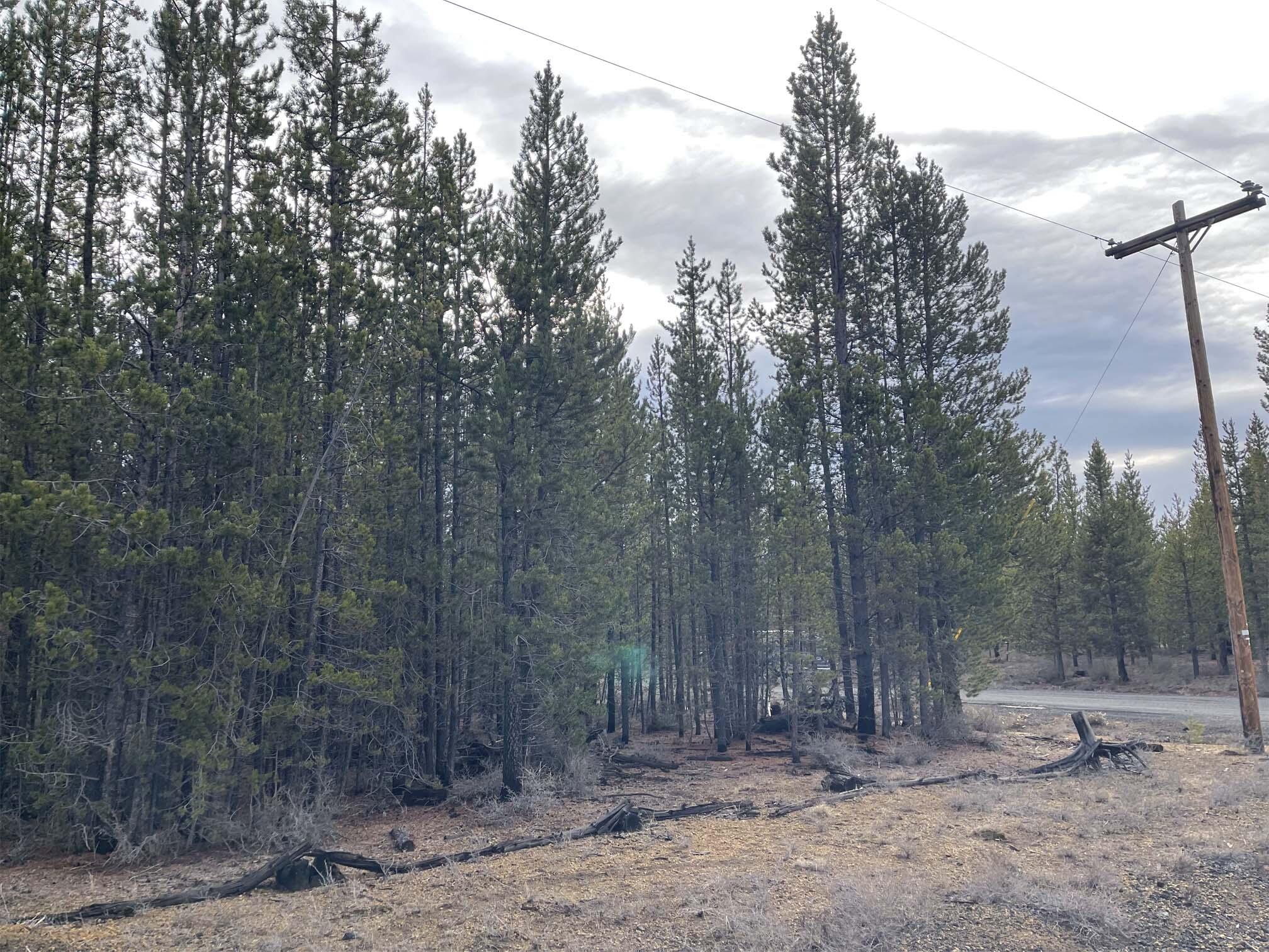 Two Rivers North - Land