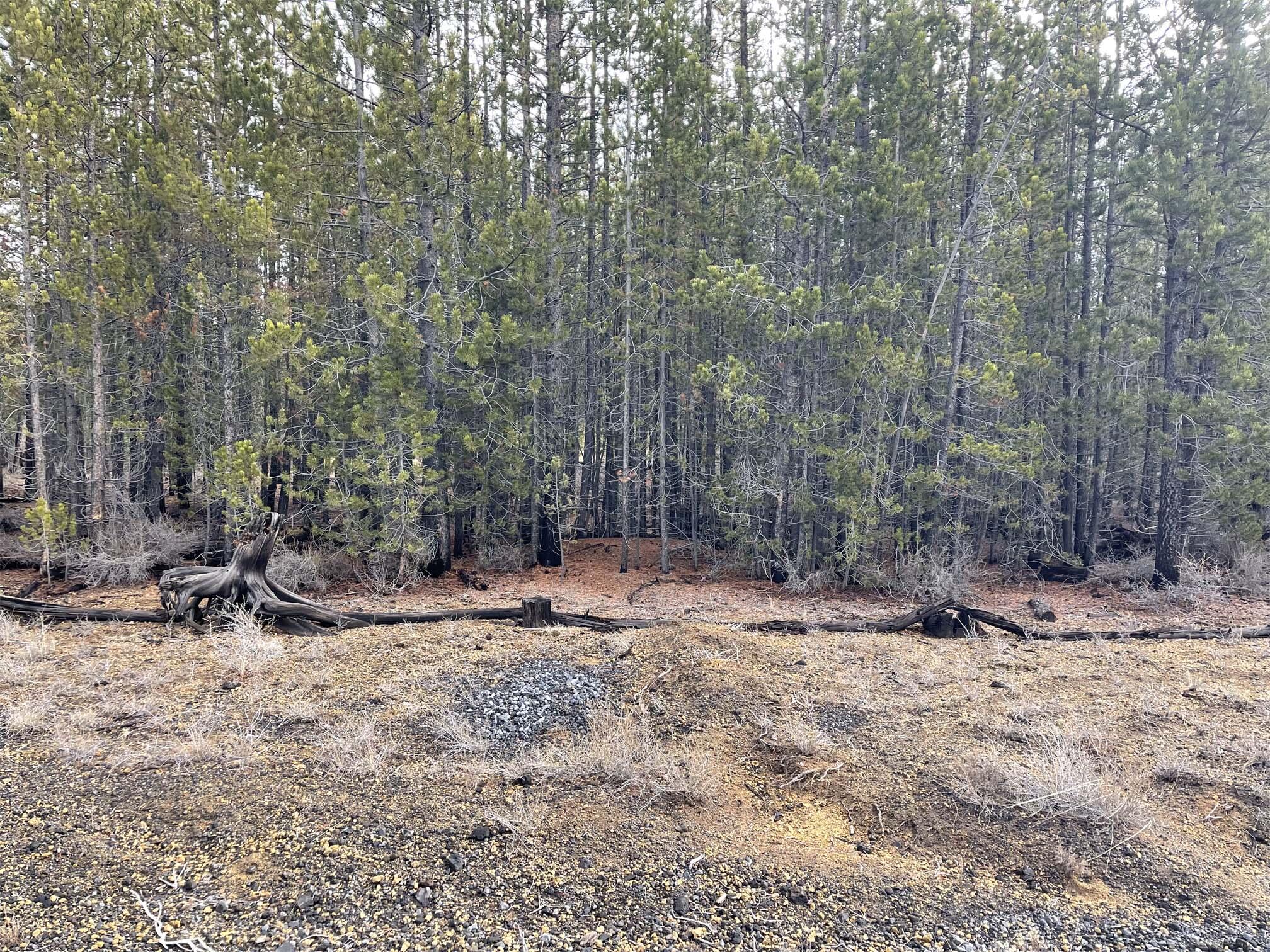 Two Rivers North - Land